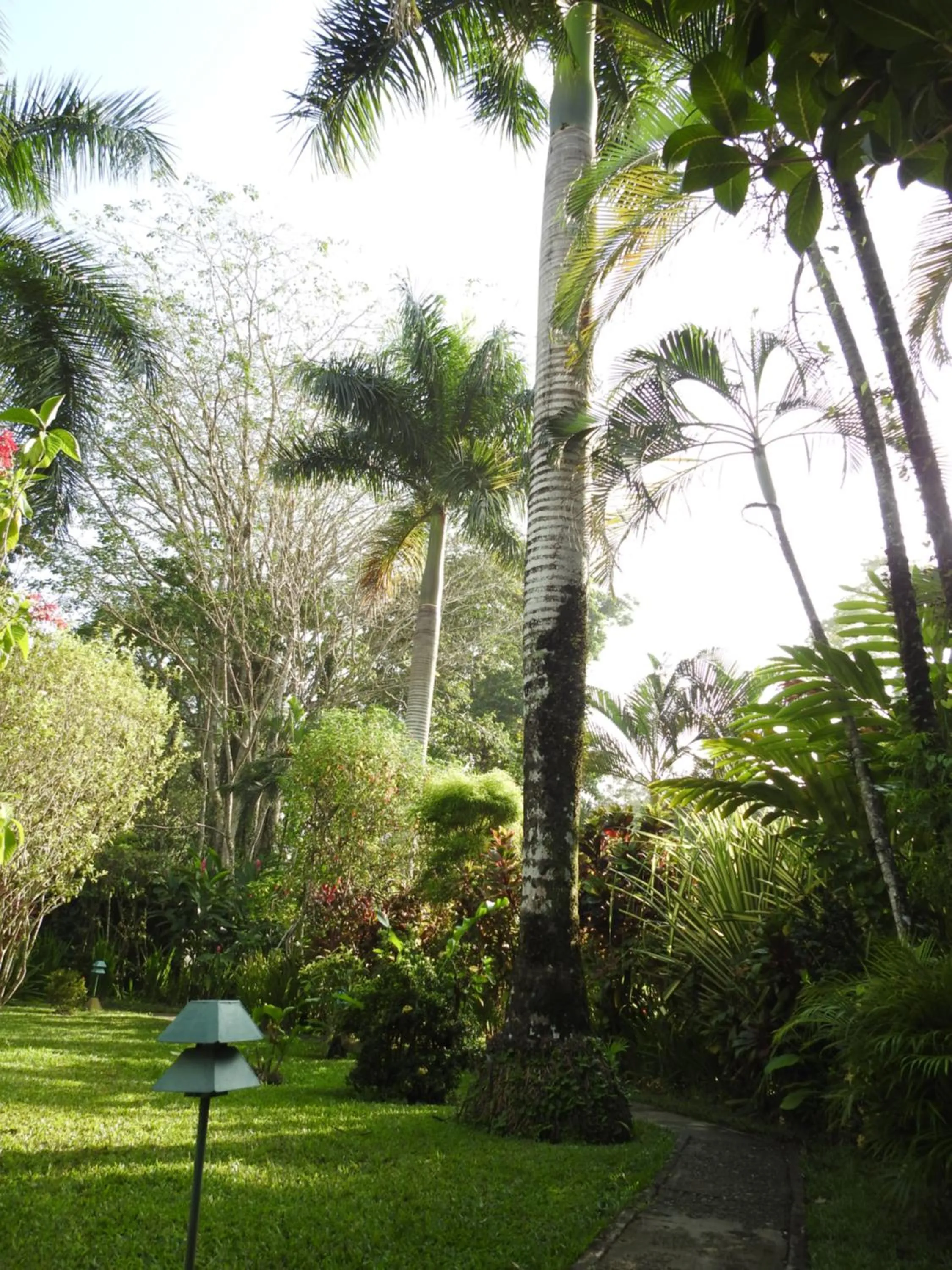 Garden in Playa Negra Guesthouse