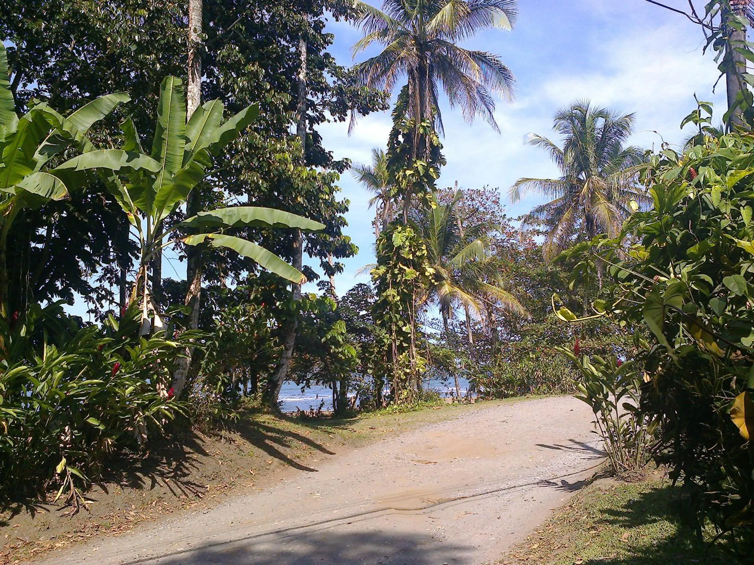 Beach in Playa Negra Guesthouse