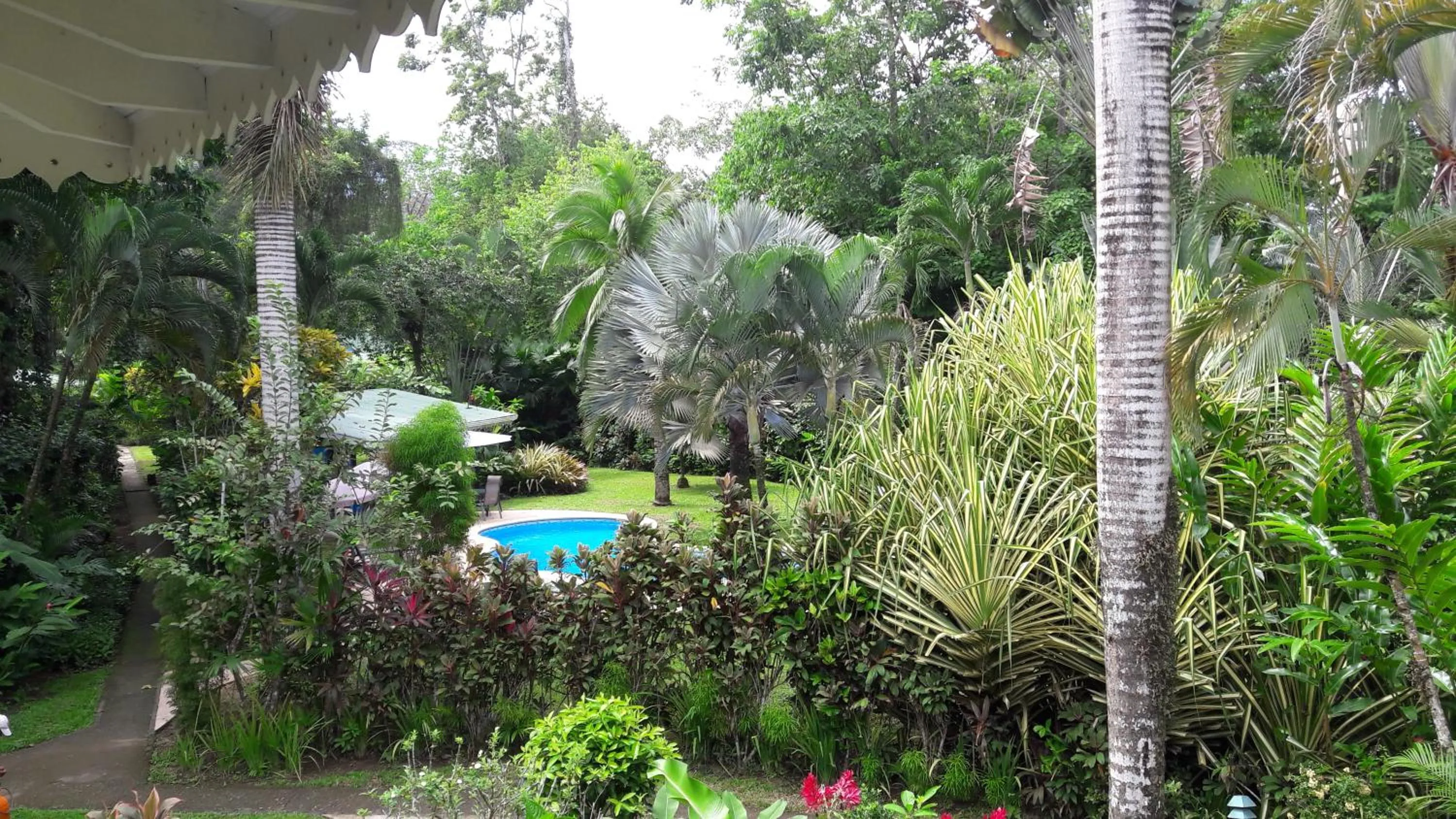 Garden view in Playa Negra Guesthouse
