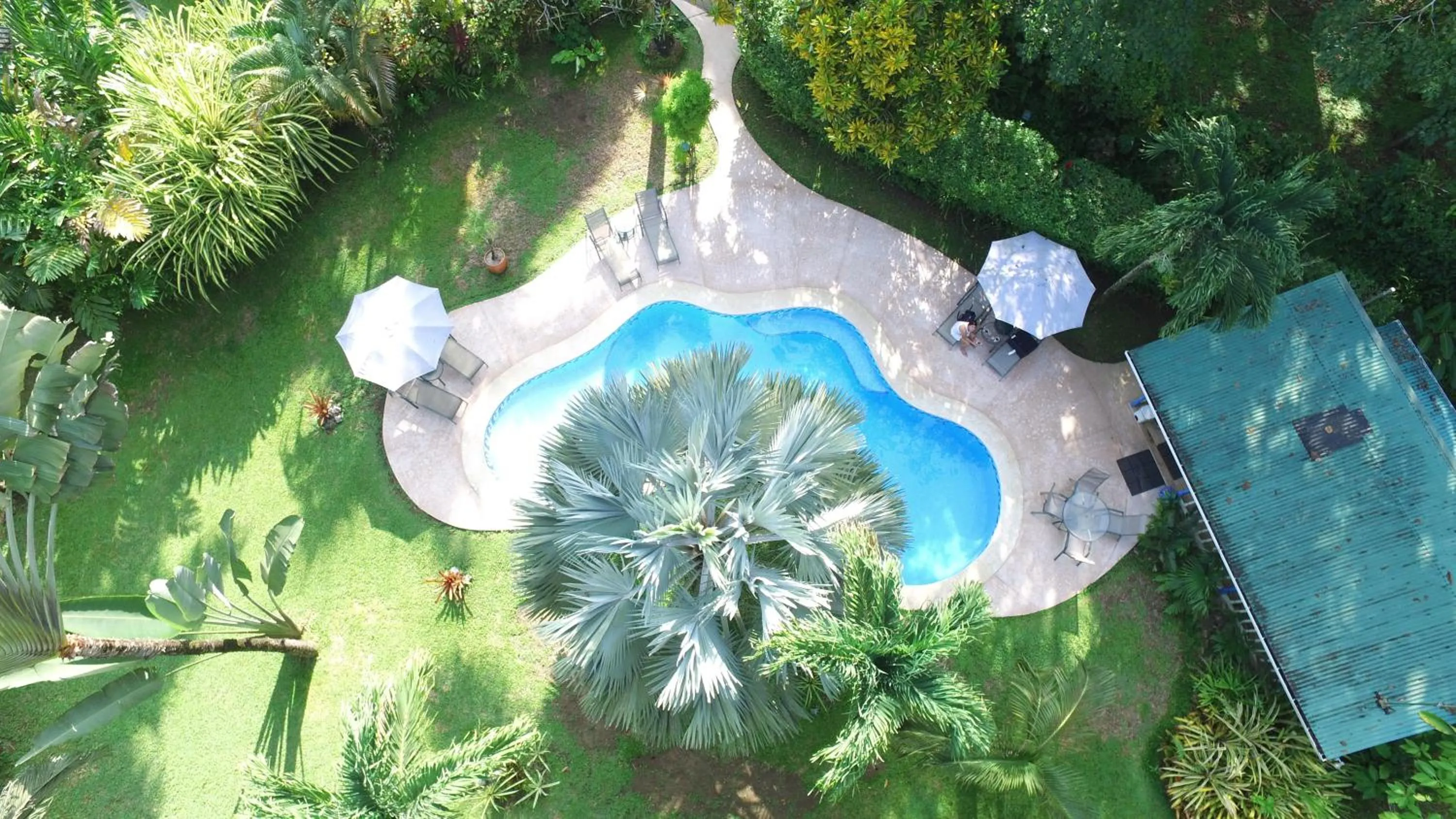 Pool view in Playa Negra Guesthouse