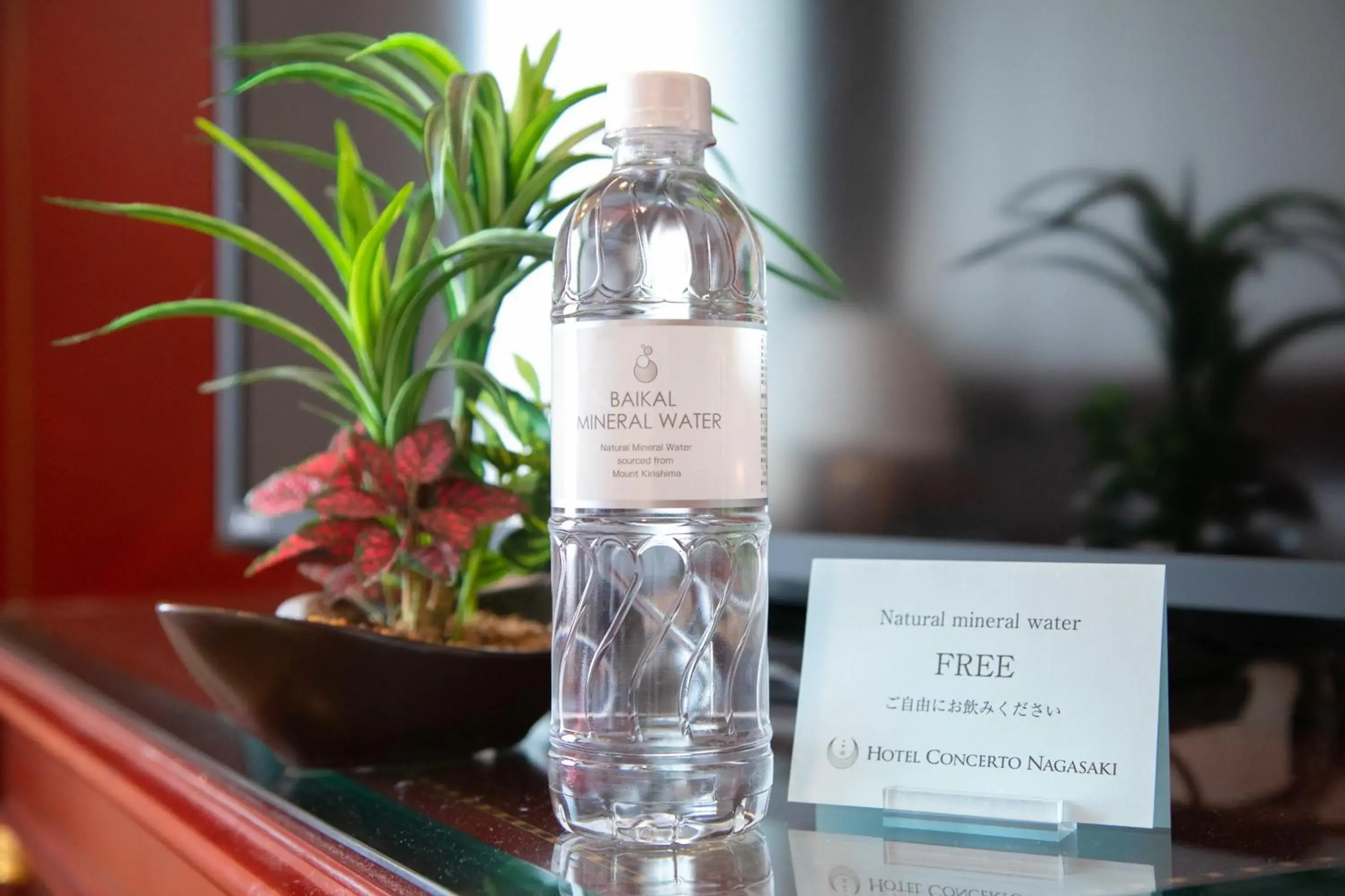 Photo of the whole room in Hotel Concerto Nagasaki Photo of the whole room in Hotel Concerto Nagasaki