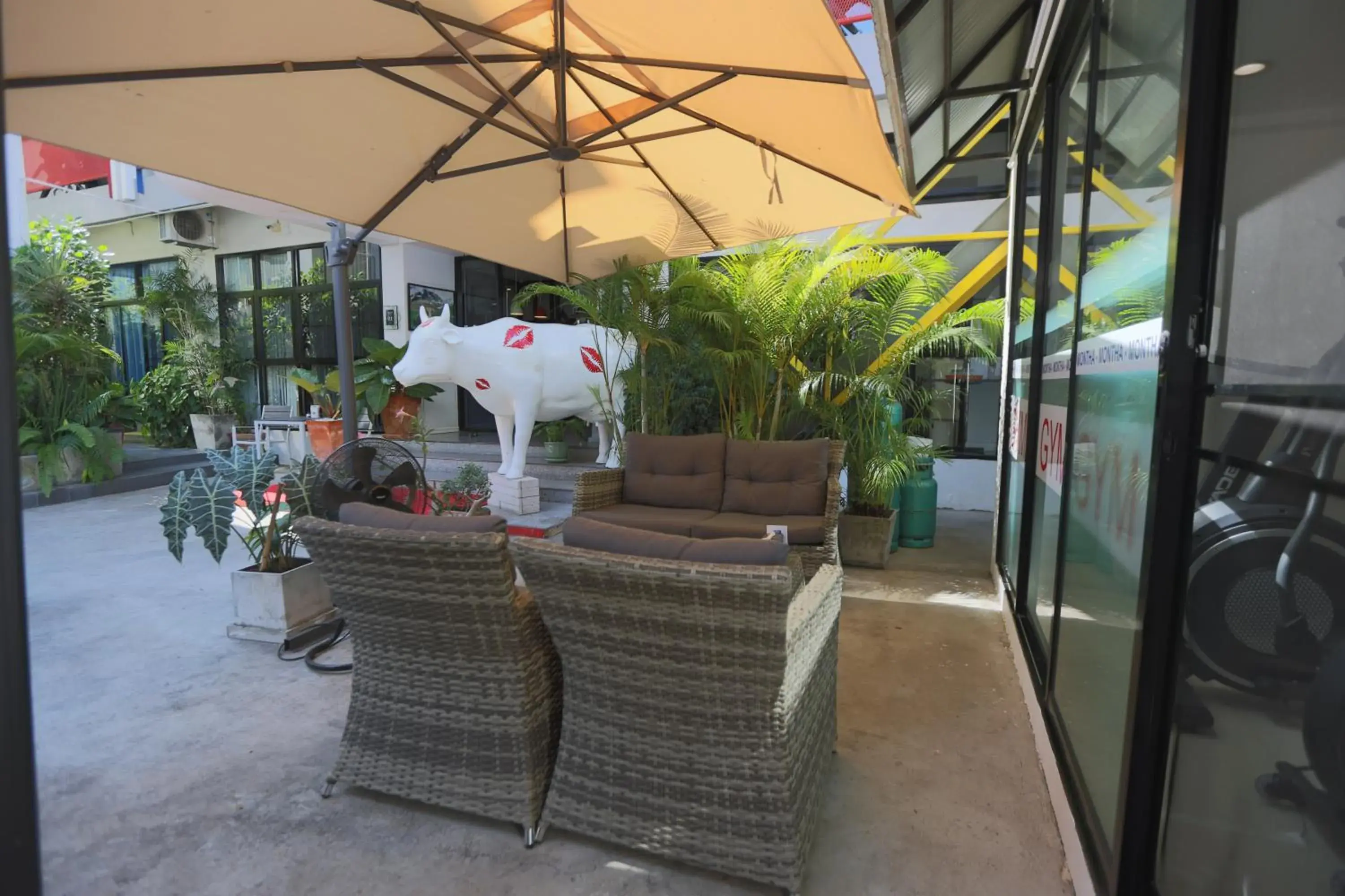 sunbed in Hotel Montha sunbed in Hotel Montha