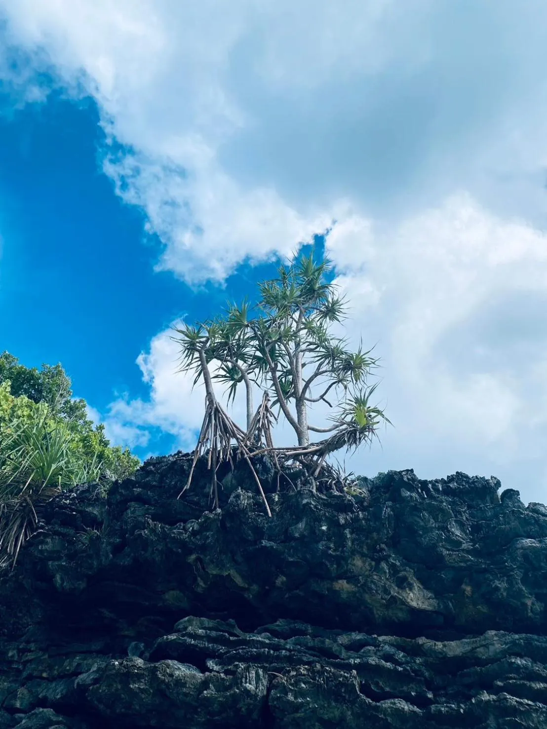 Phi Phi Little Star Resort