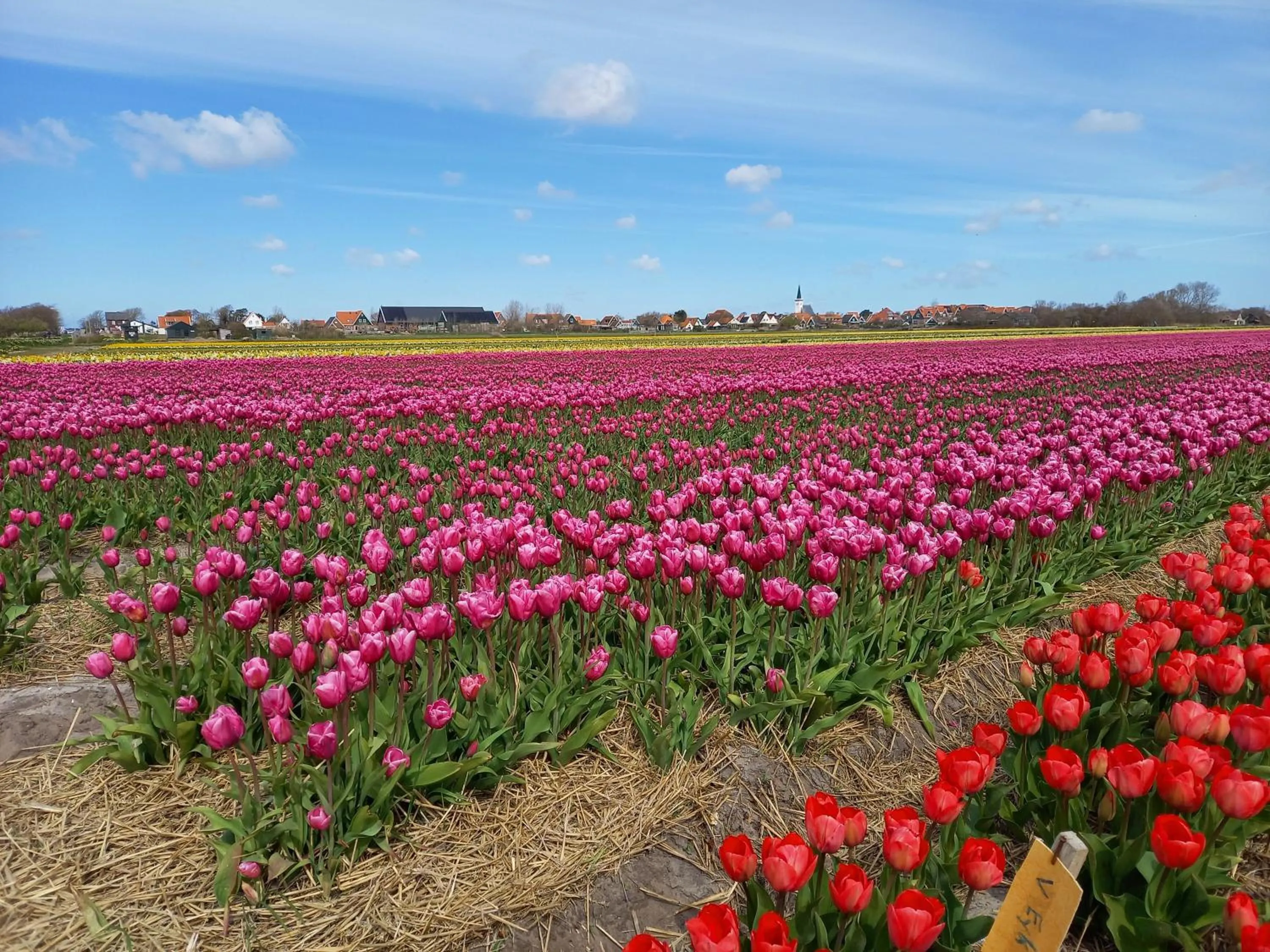 Bed en Breakfast kamers en meer Het Spookhuis