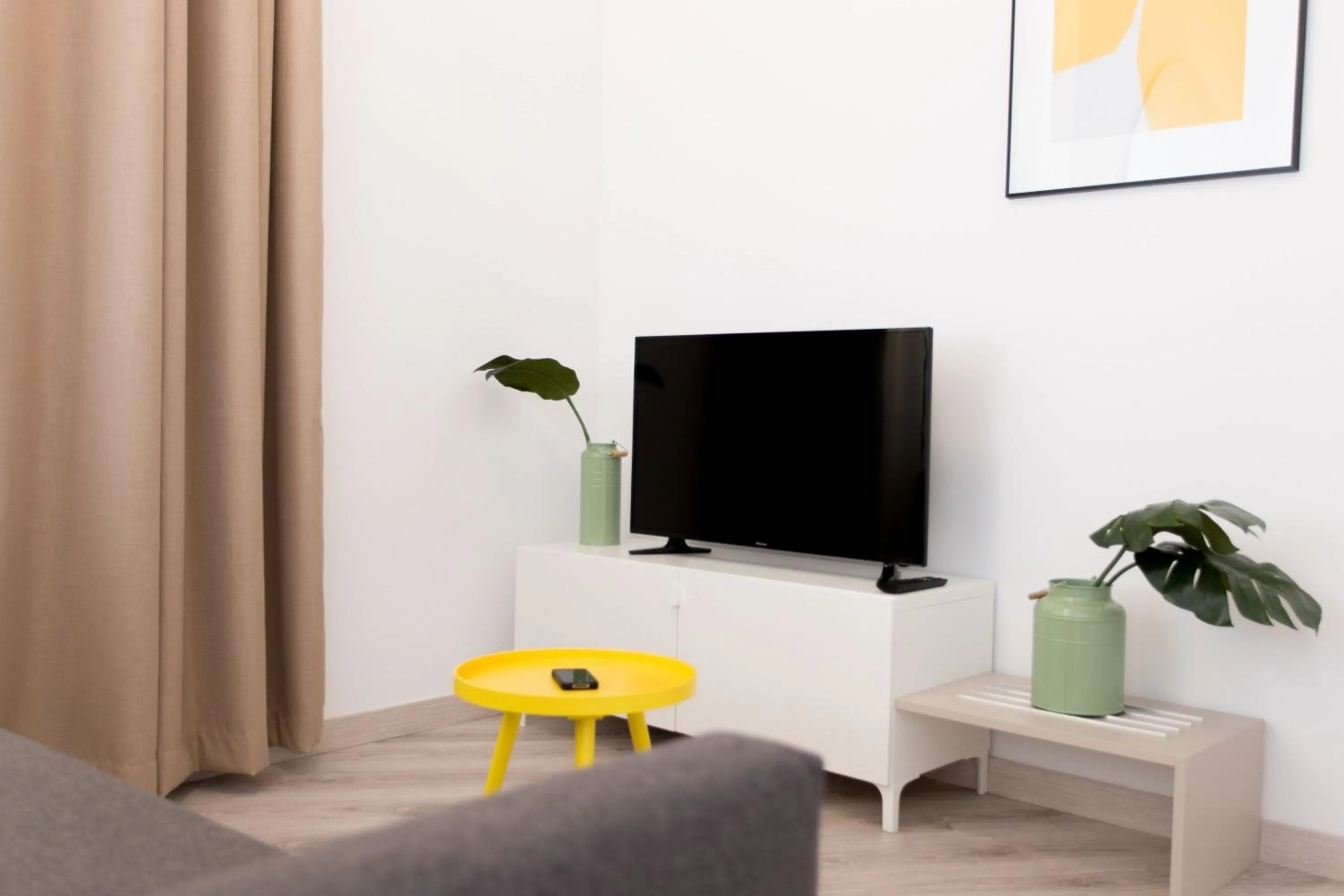 TV and multimedia in Apartamentos Wallace