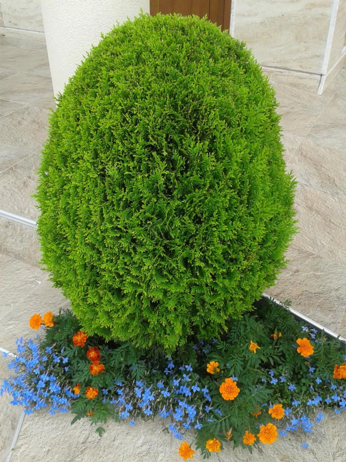 Decorative detail in Hotel Seasons 3