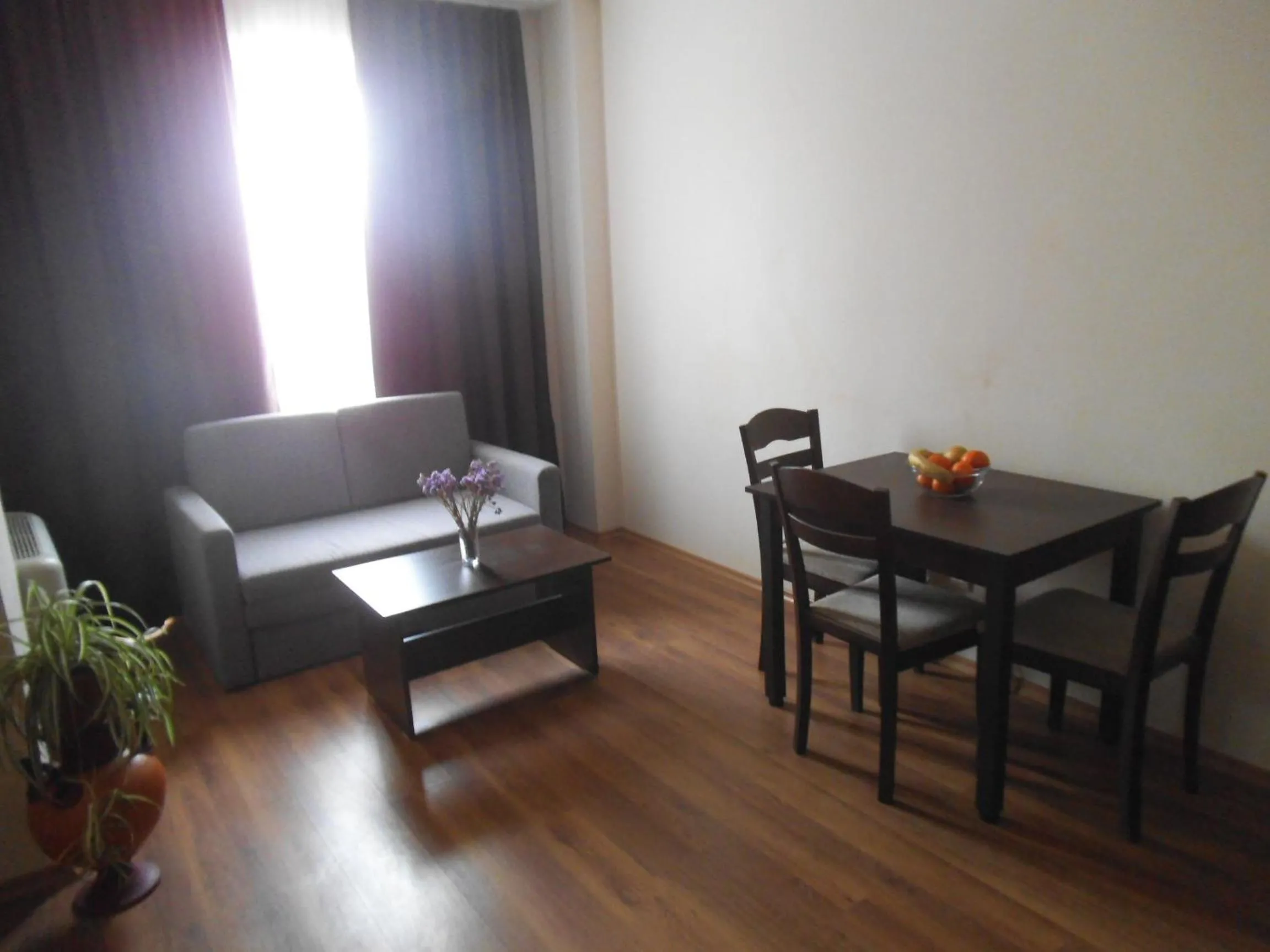 Living room in Hotel Seasons 3