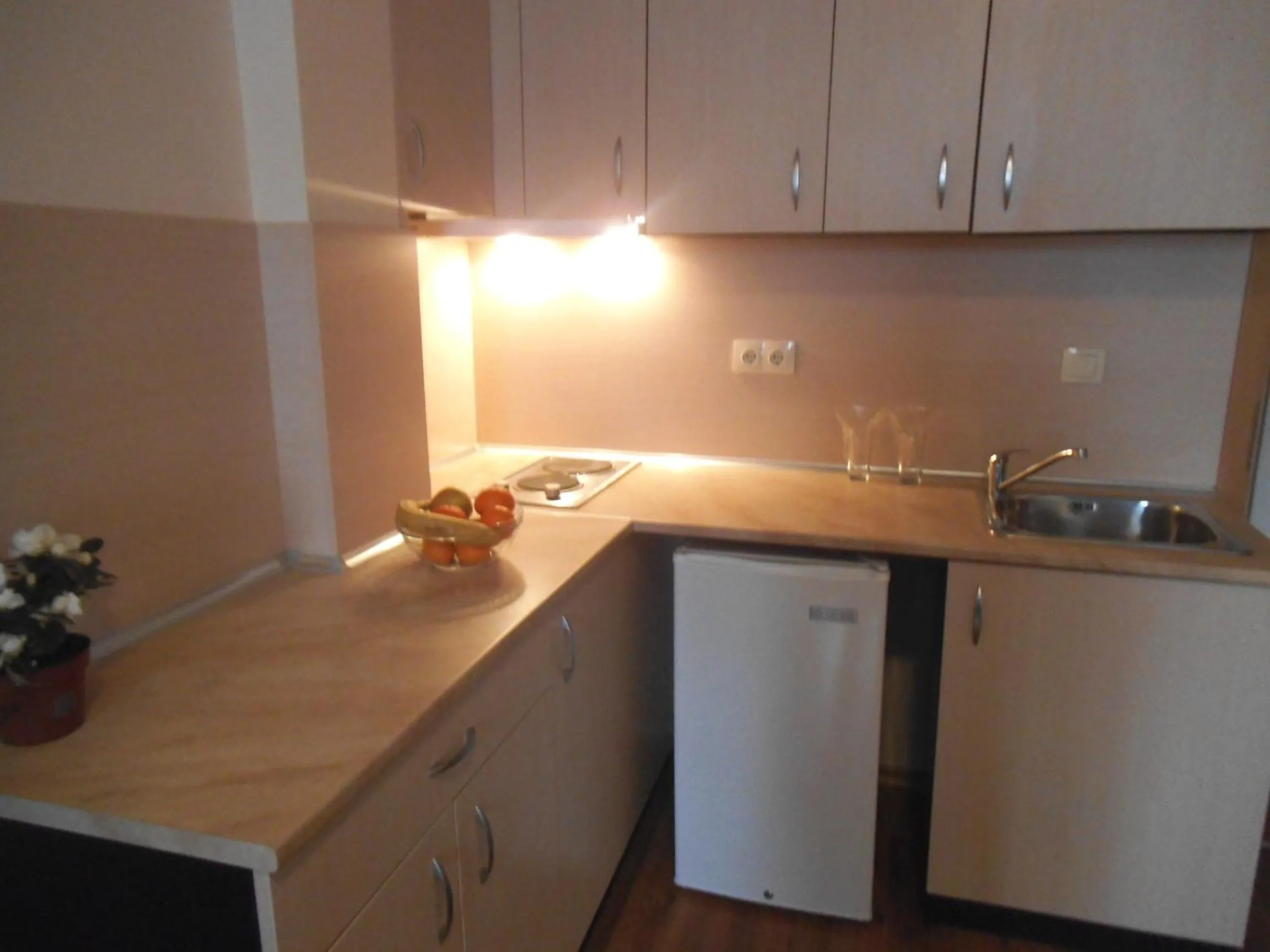 Kitchen or kitchenette in Hotel Seasons 3