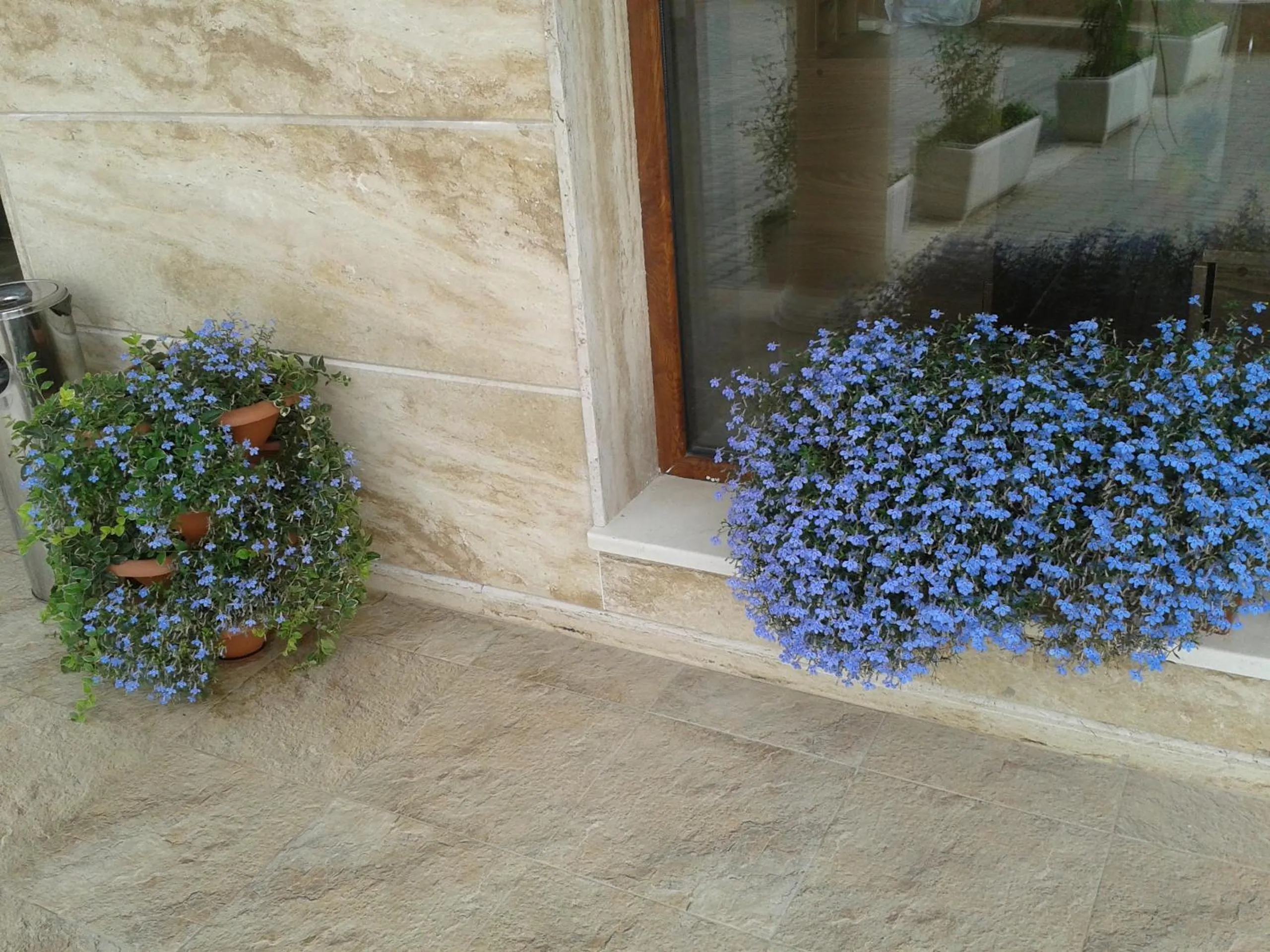 Decorative detail in Hotel Seasons 3