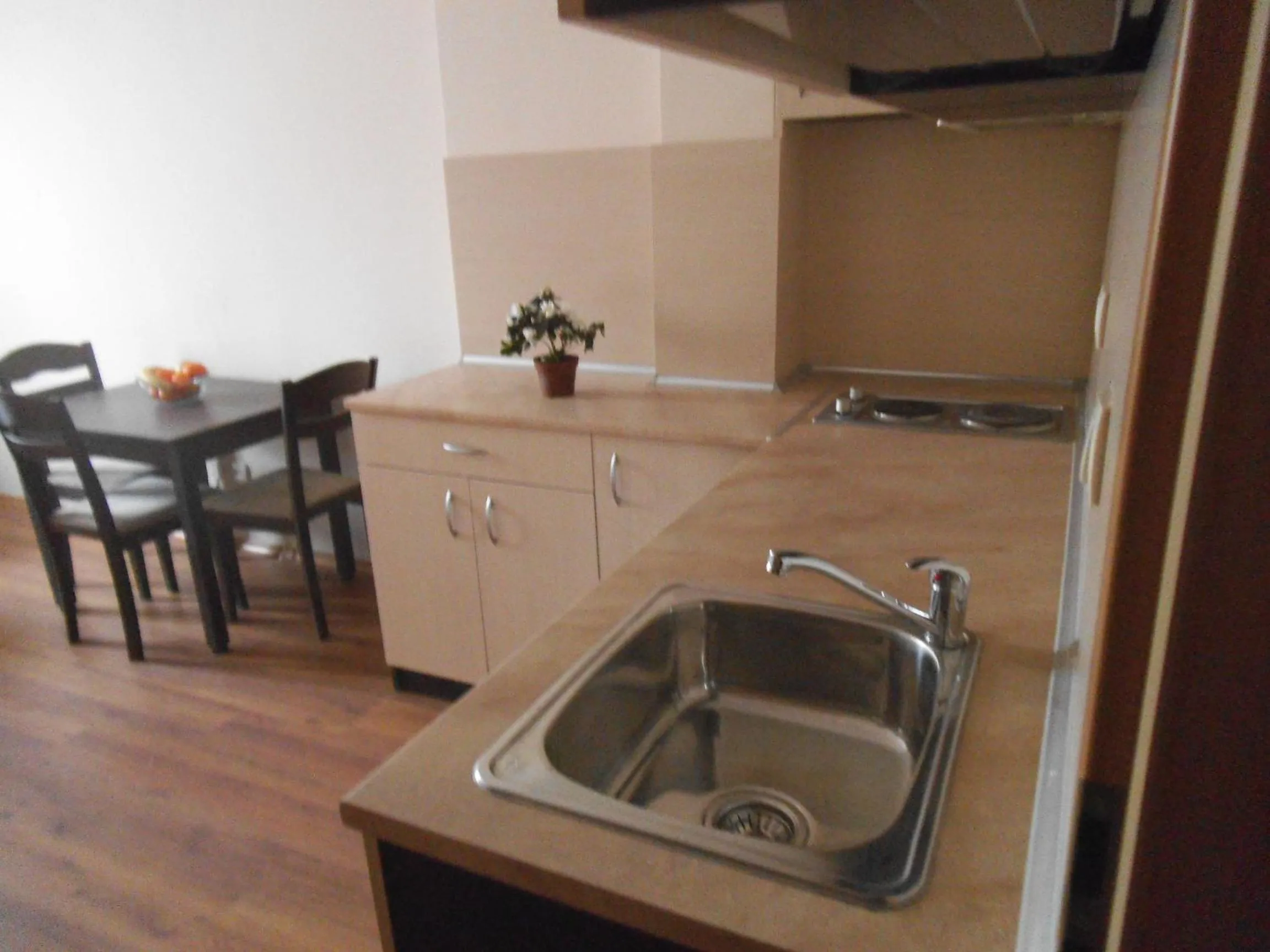 Kitchen or kitchenette in Hotel Seasons 3