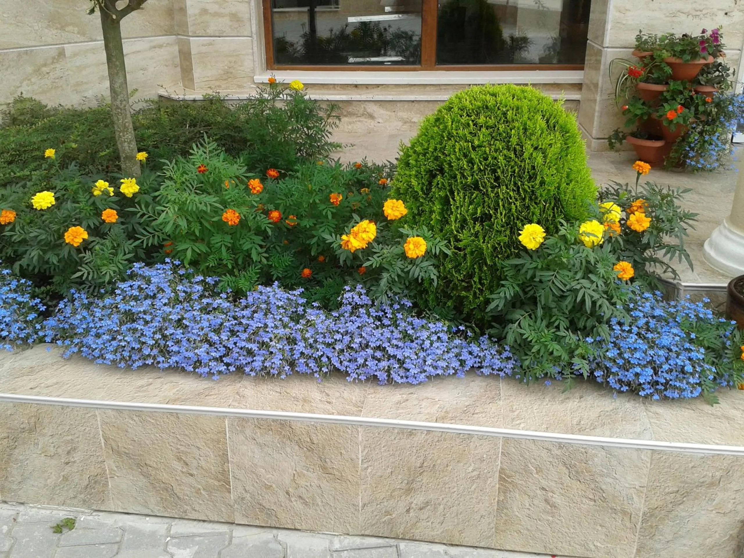 Facade/entrance in Hotel Seasons 3