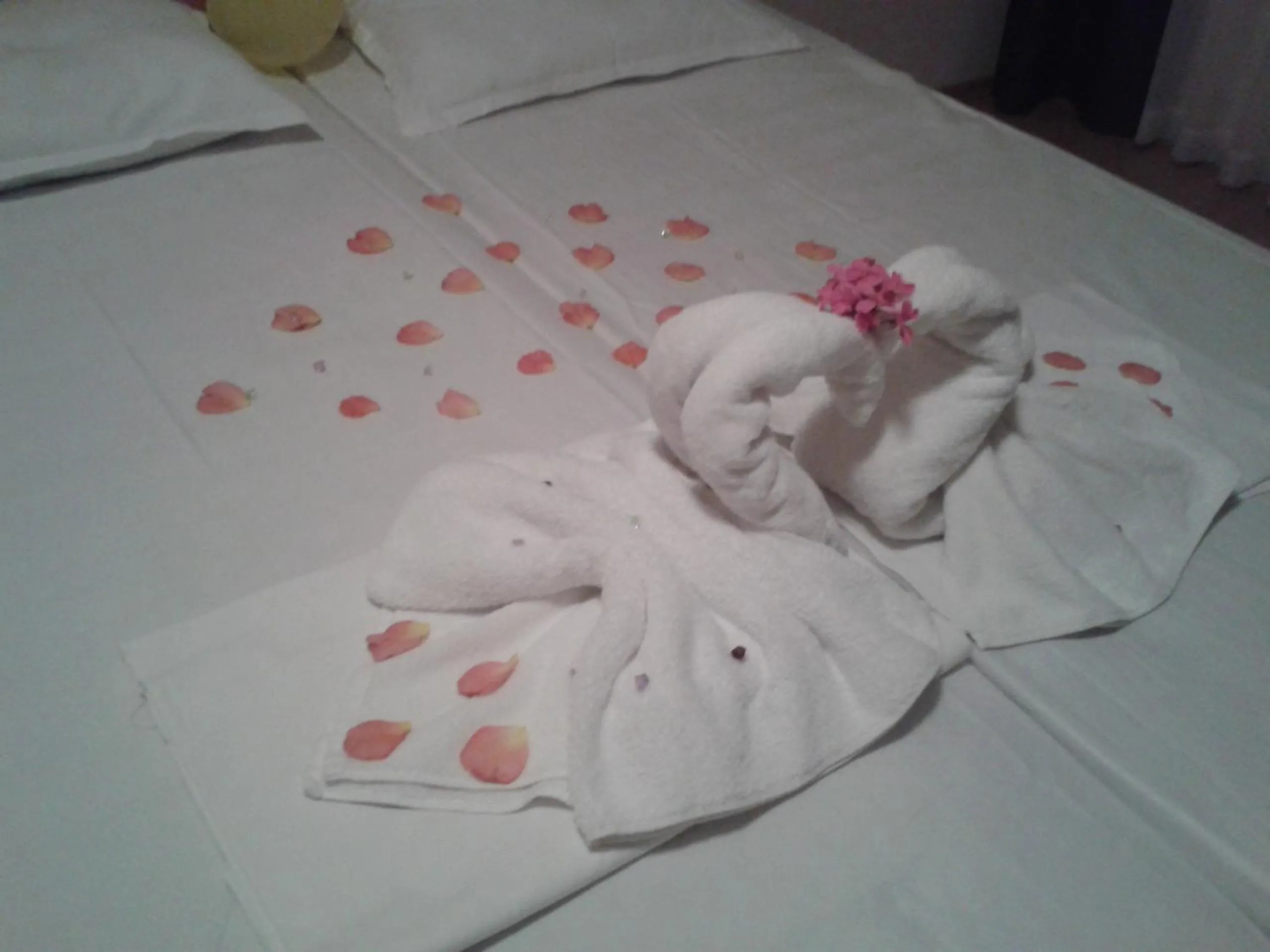 Decorative detail, Bed in Hotel Seasons 3