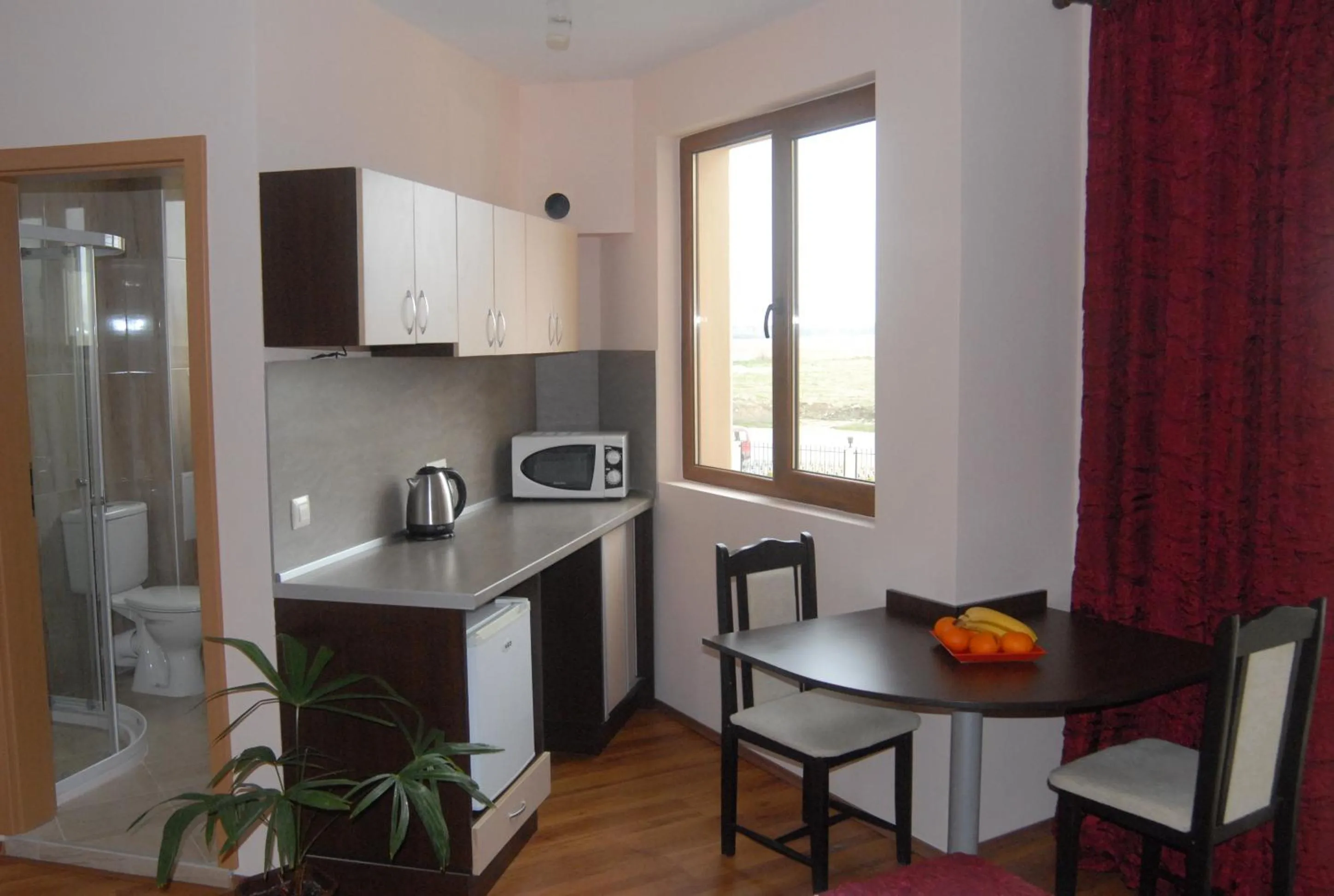 Kitchen or kitchenette in Hotel Seasons 3