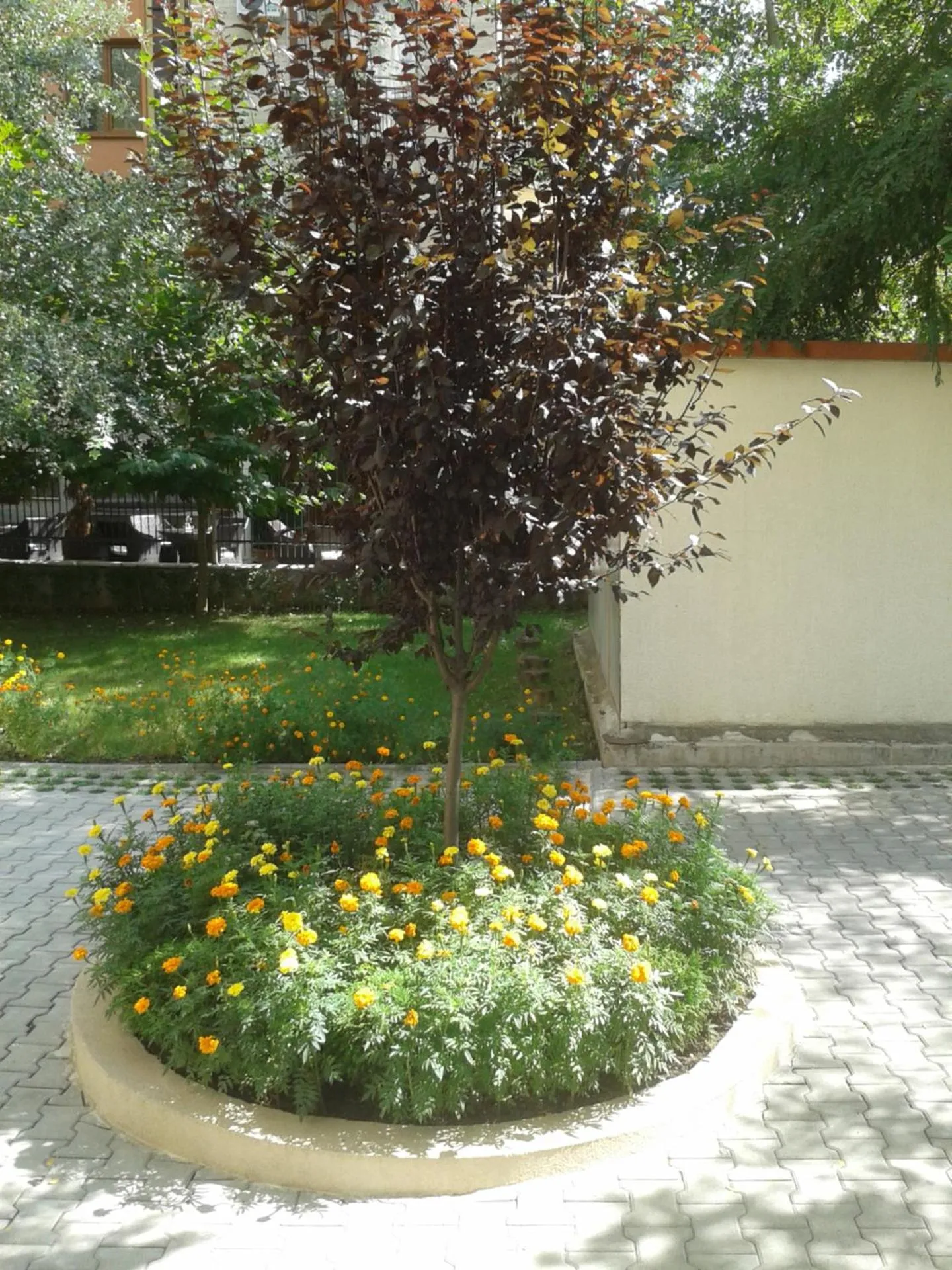 Patio in Hotel Seasons 3