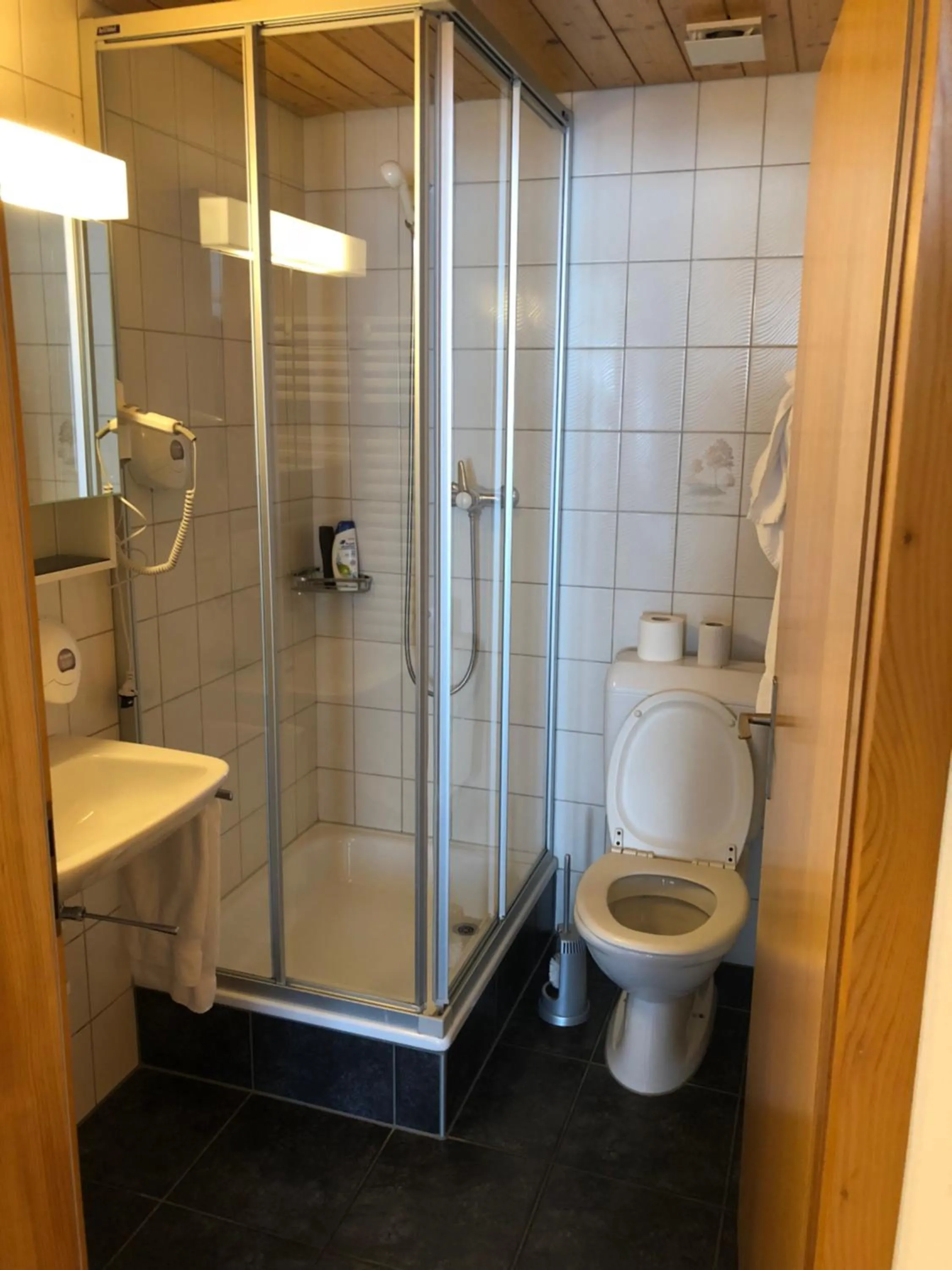 Shower in Hotel Restaurant Simplon