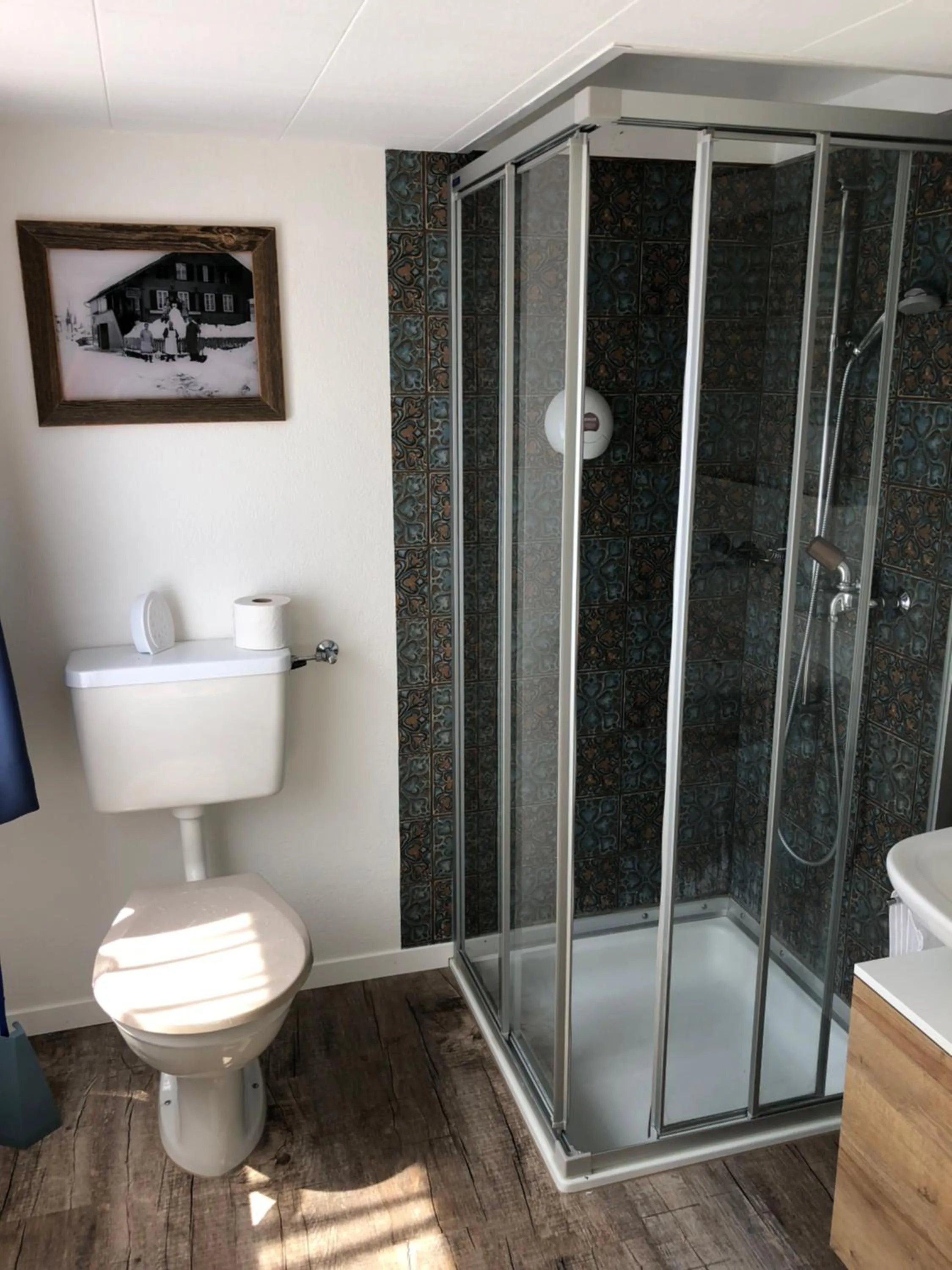 Shower in Hotel Restaurant Simplon