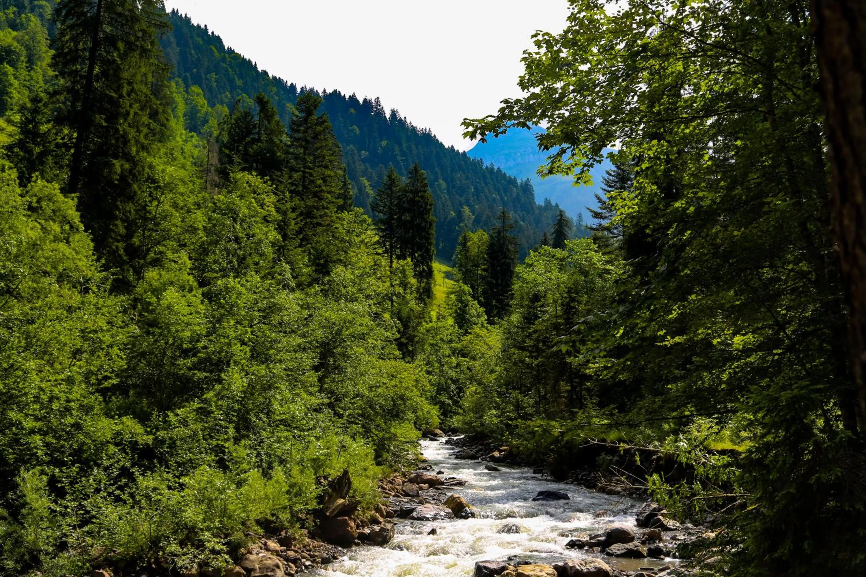 Natural landscape in Hotel Restaurant Simplon