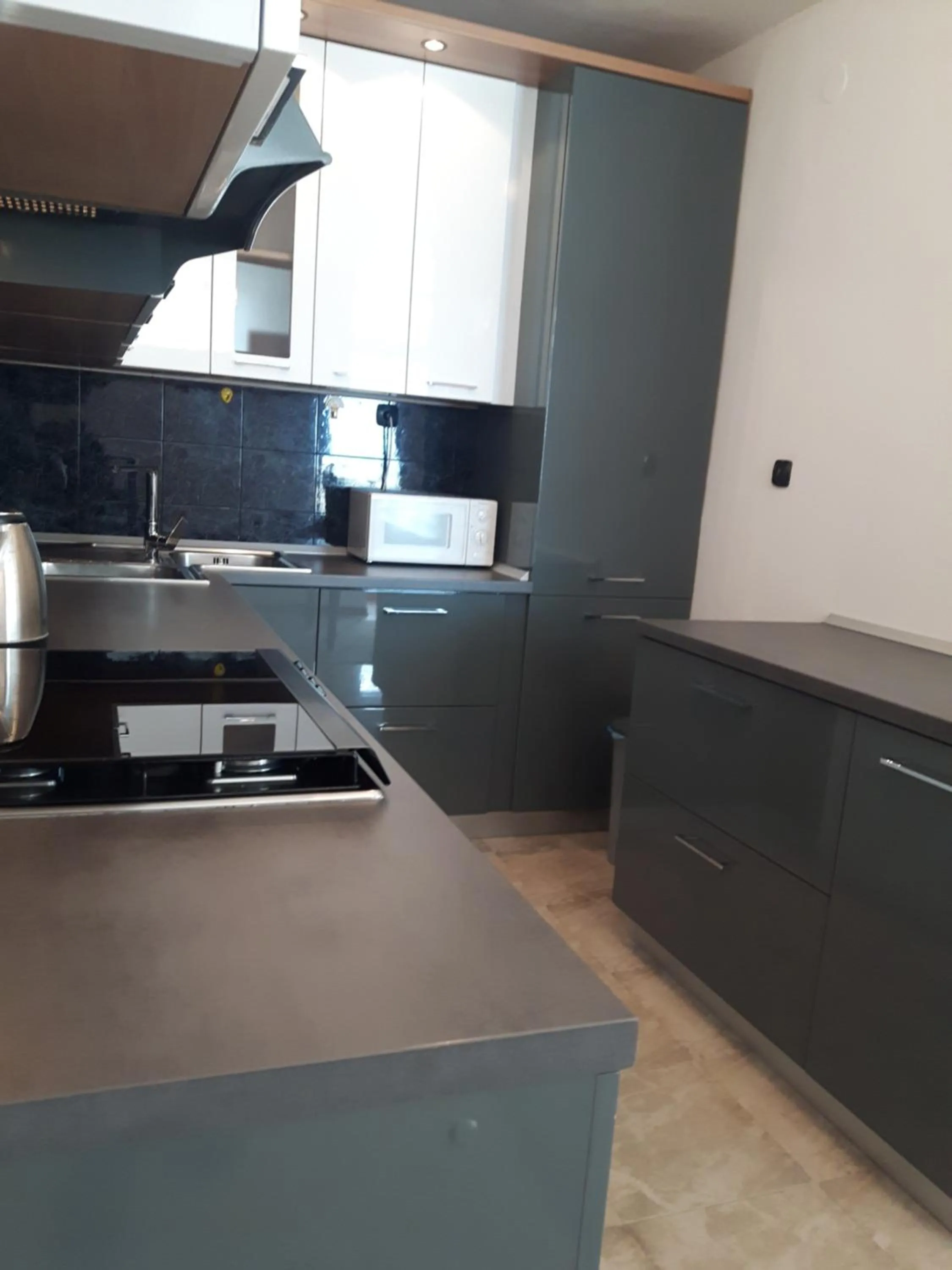 Kitchen or kitchenette in Apartment Trstenik