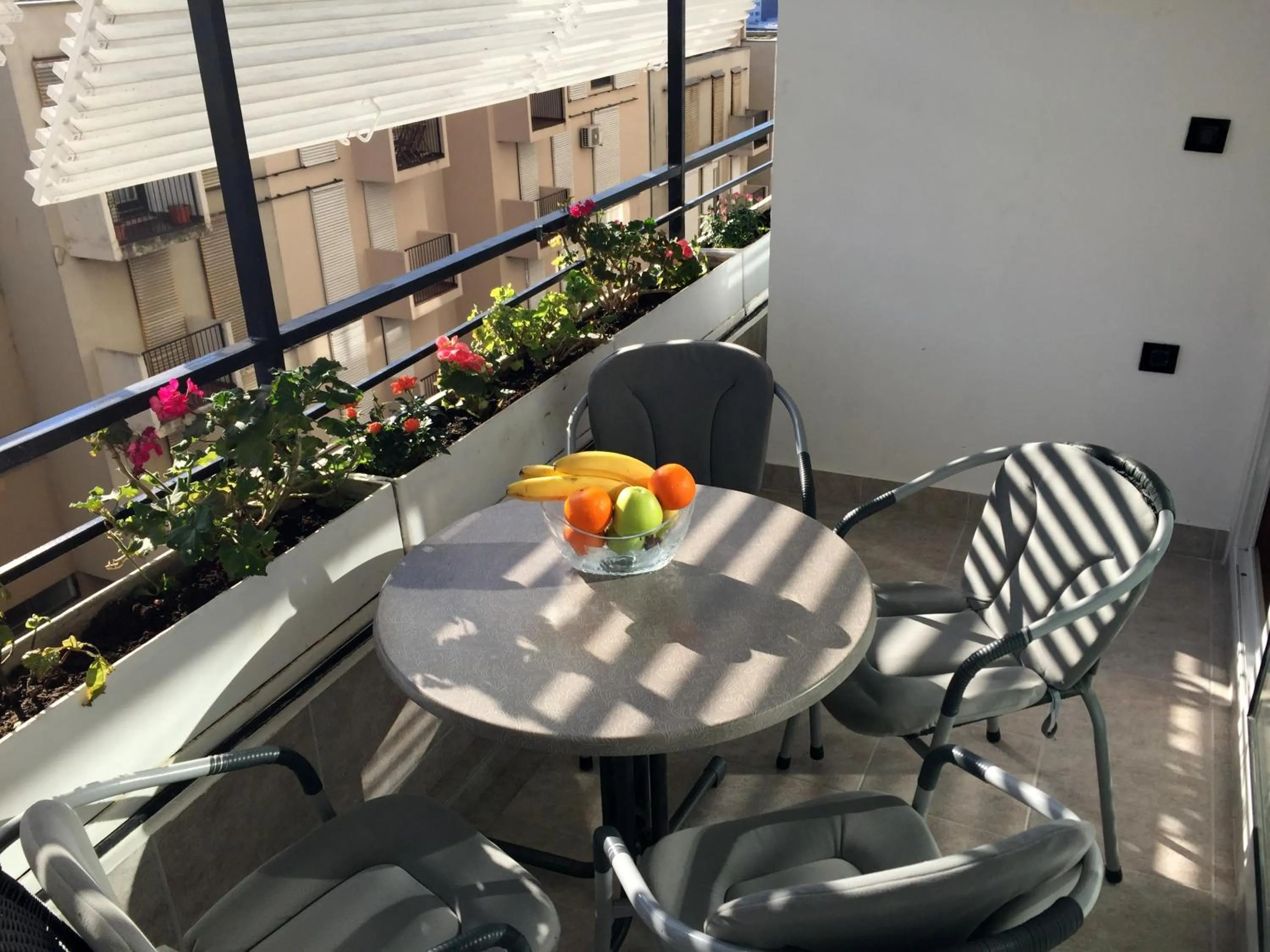 Balcony/Terrace in Apartment Trstenik