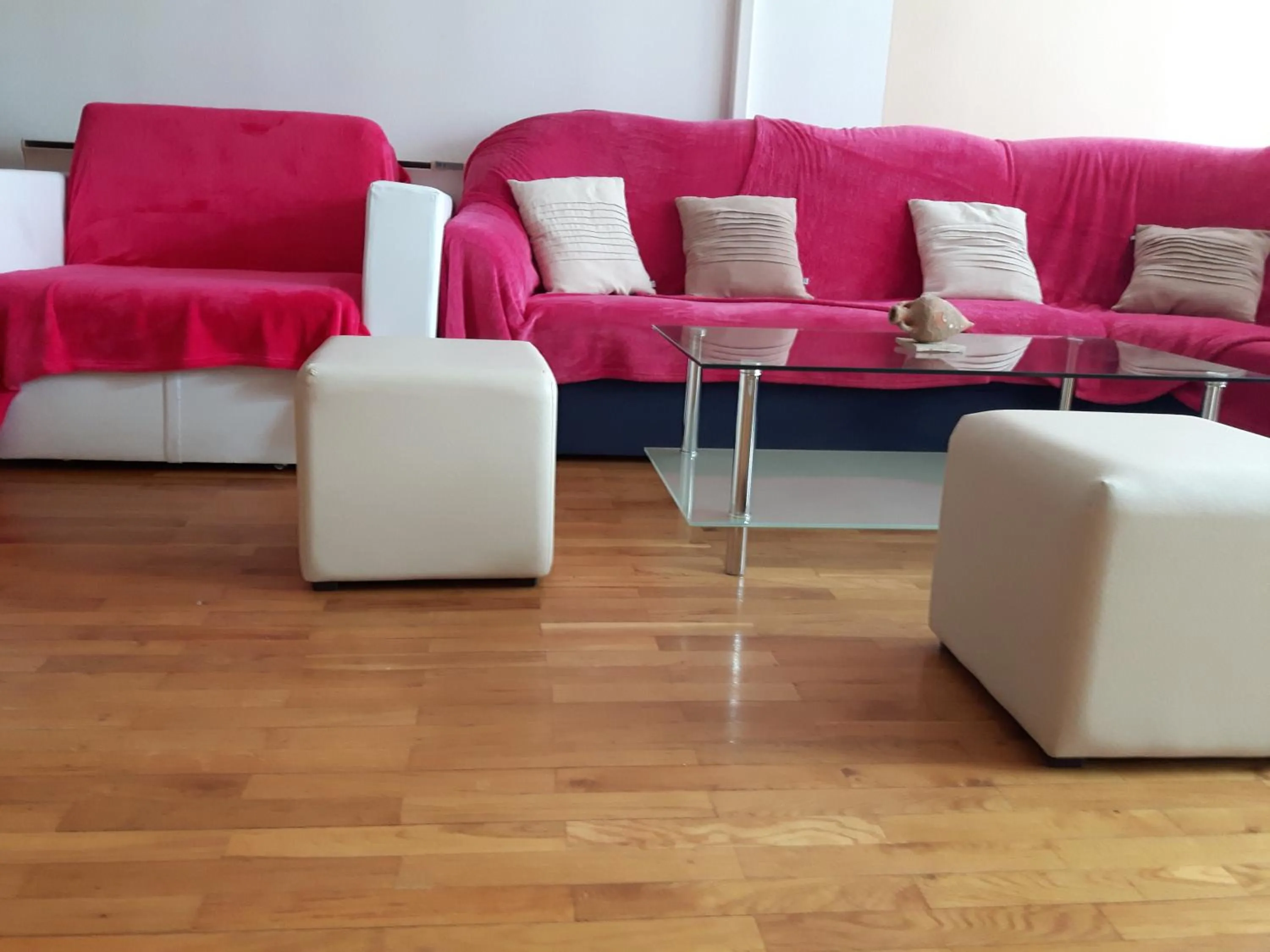 Living room in Apartment Trstenik