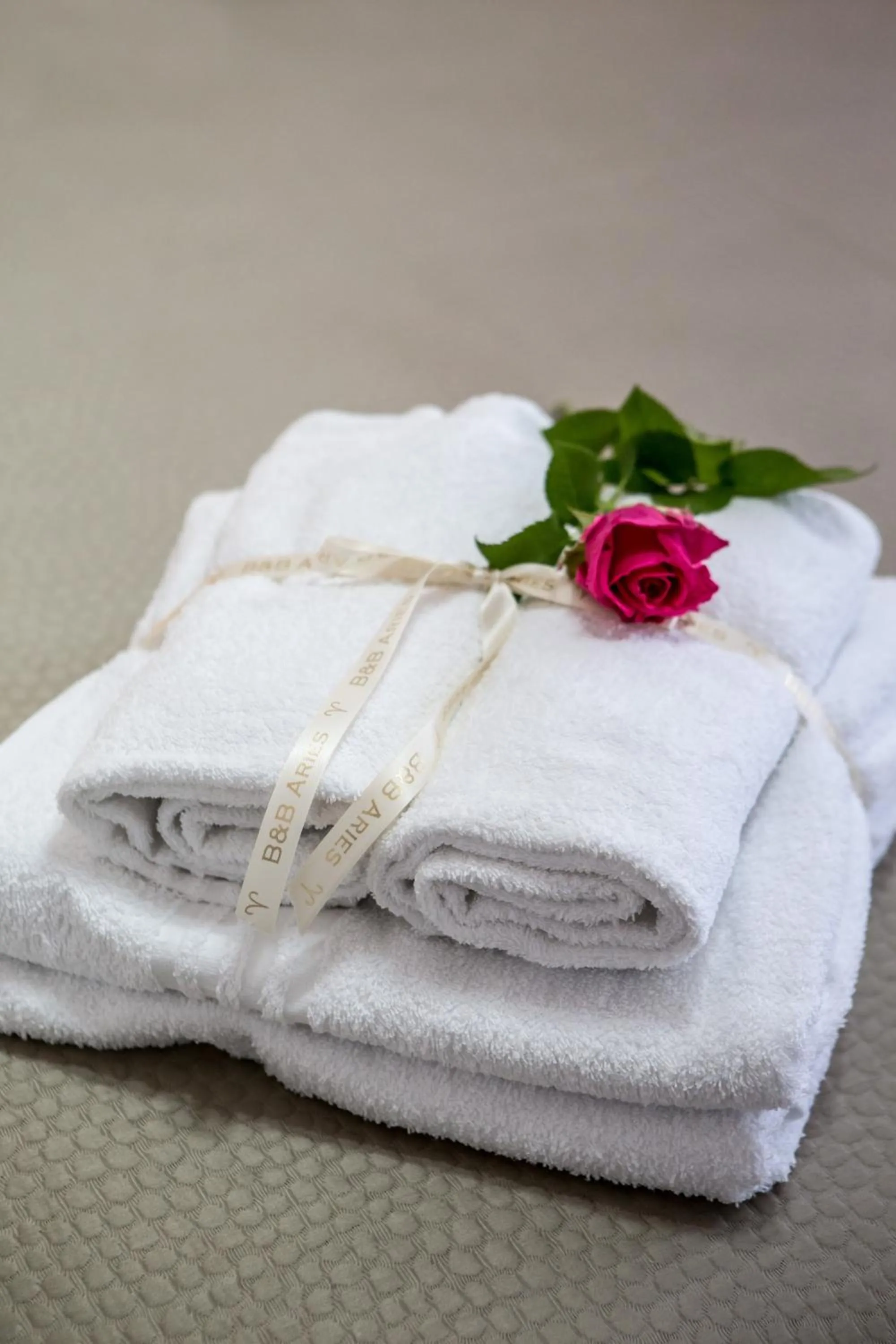 Decorative detail in B&B Aries