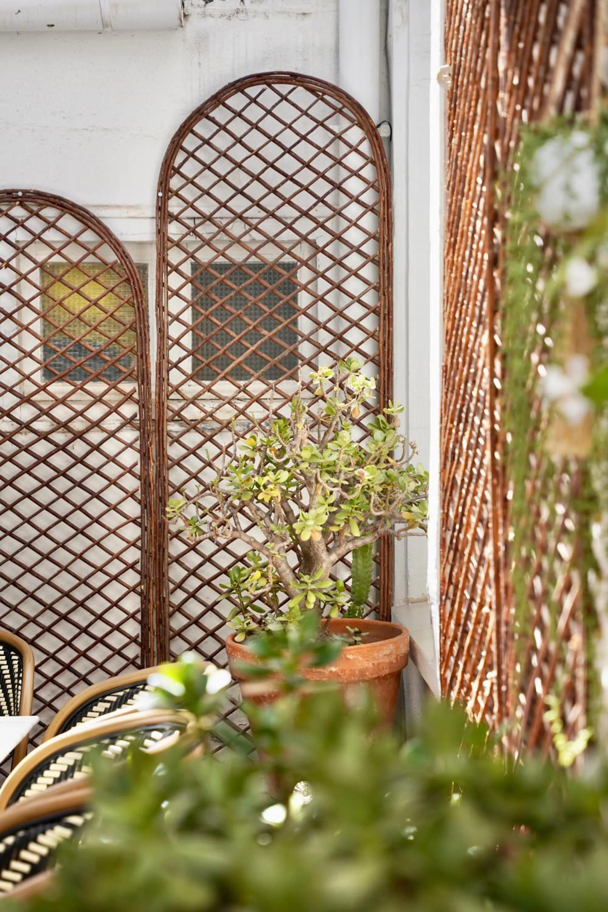 Patio in Hotel de France