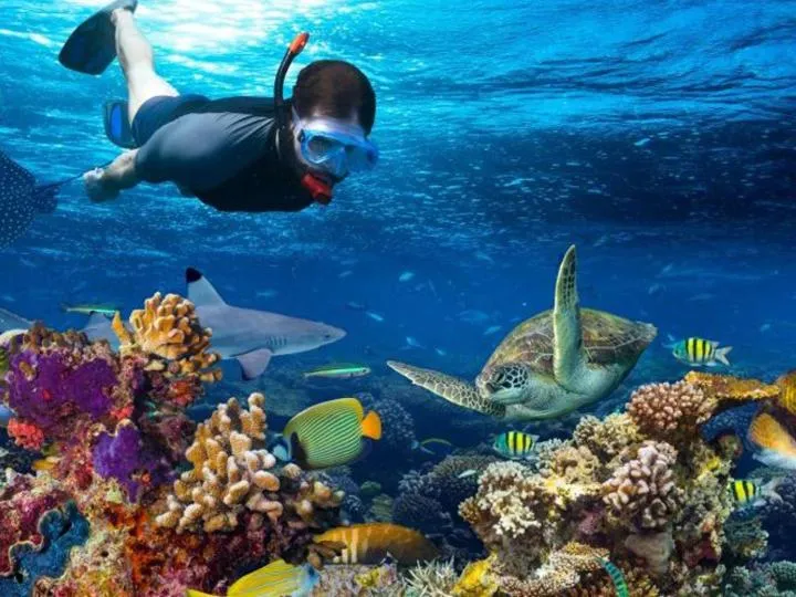 Kinazi Upepo Beach Eco Sport Resort