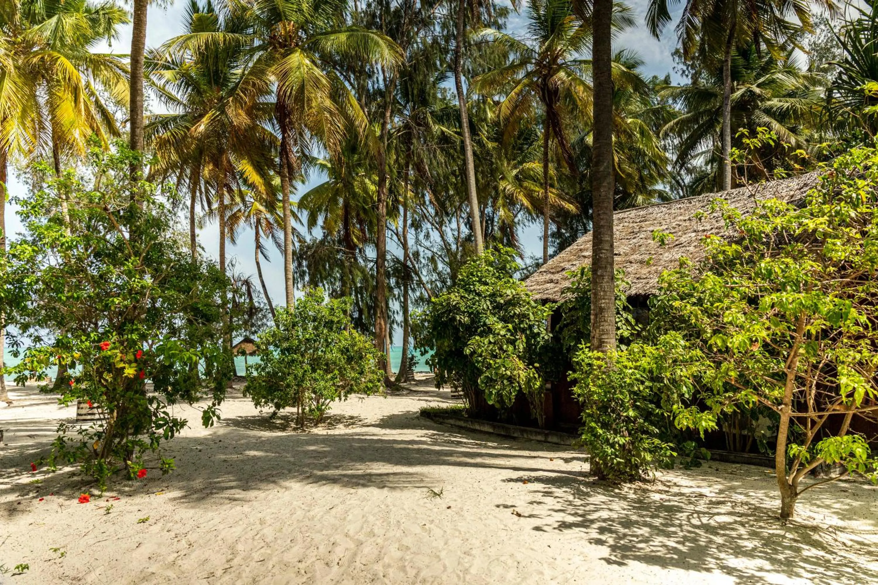 Kinazi Upepo Beach Eco Sport Resort