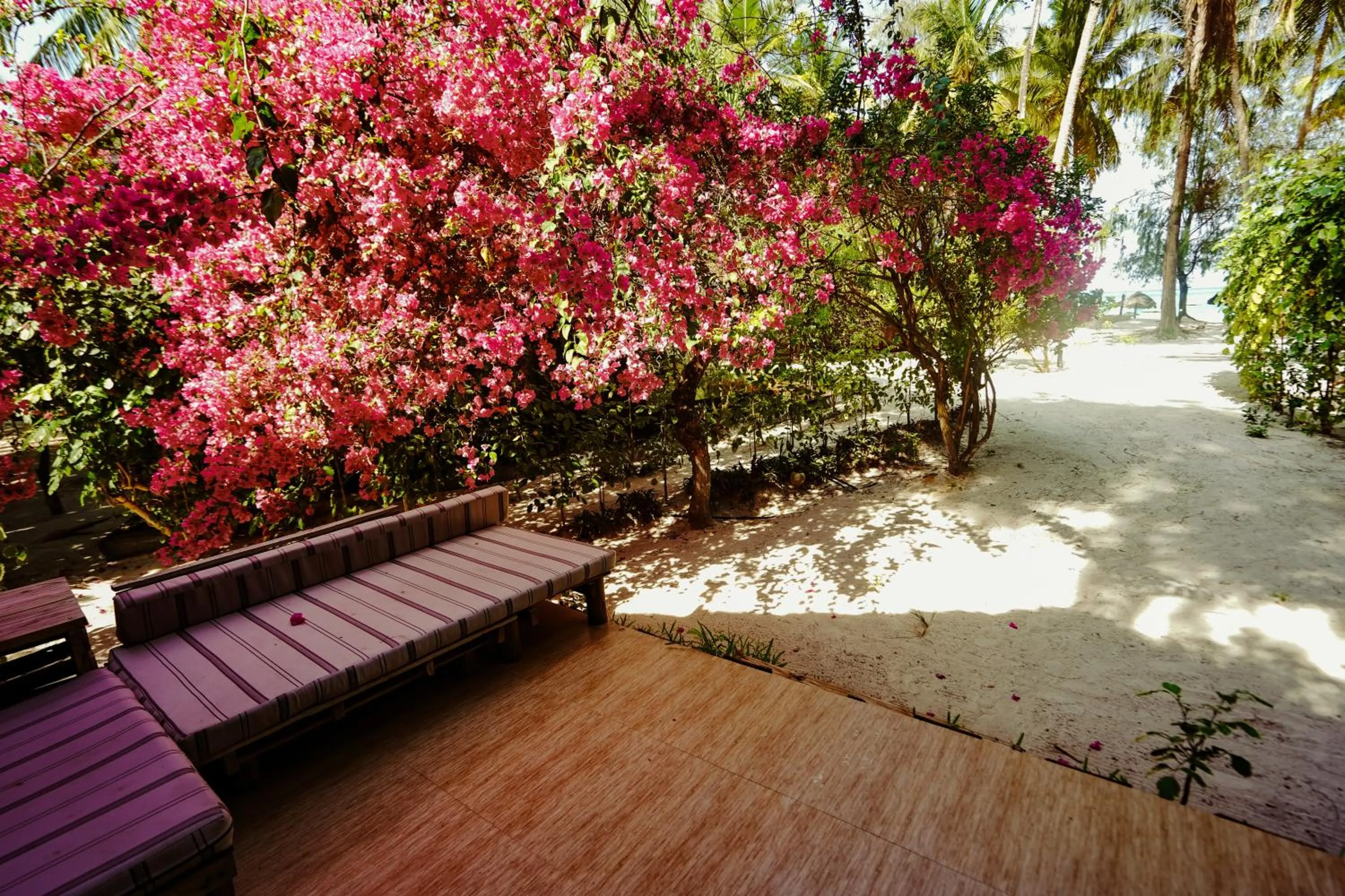 Kinazi Upepo Beach Eco Sport Resort