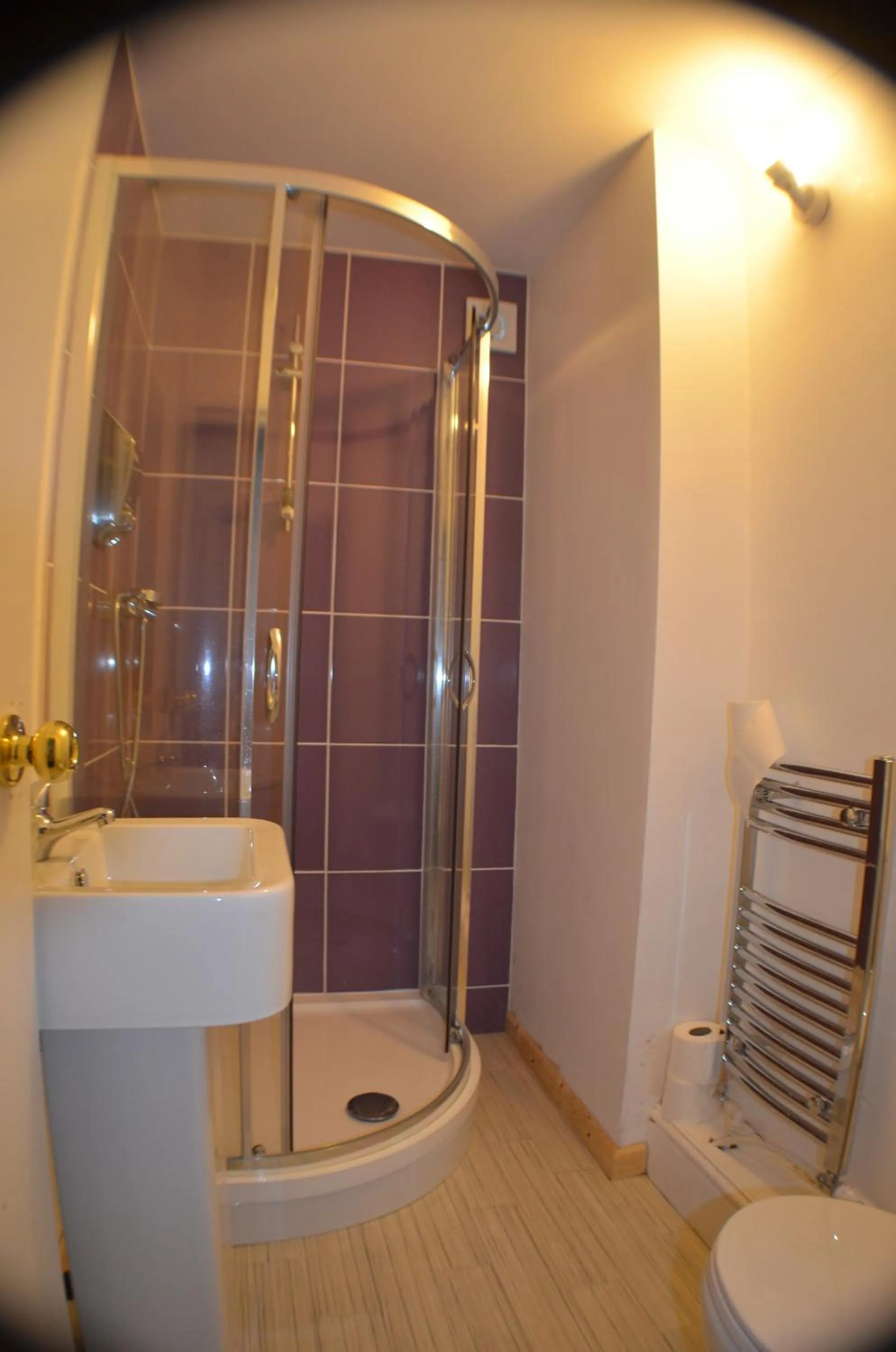 Shower in Birchfields Guest House