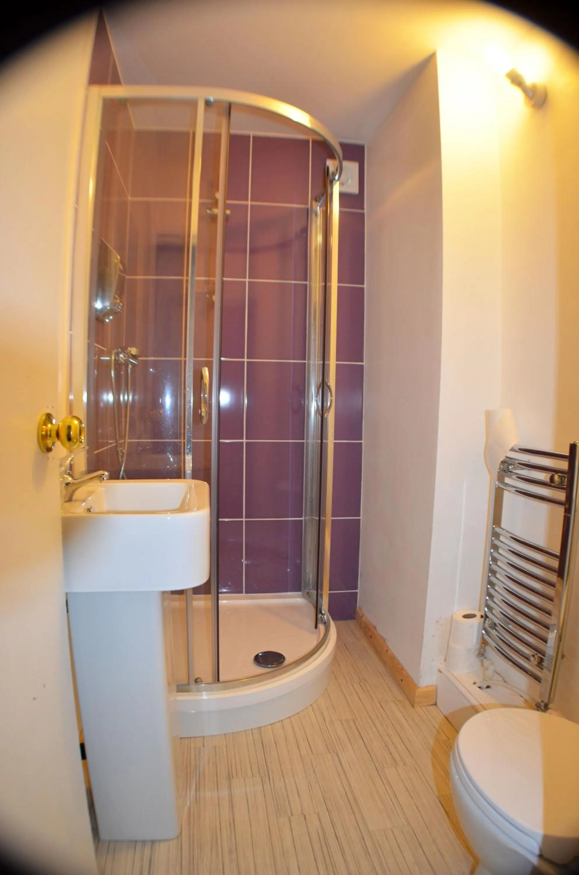 Shower in Birchfields Guest House