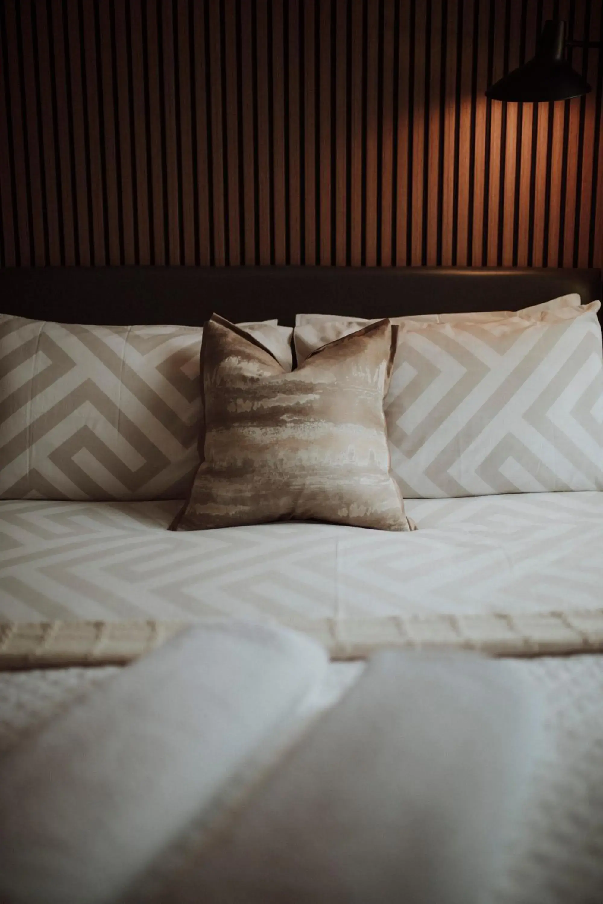 Photo of the whole room, Bed in 16 Pilrig Guest House Photo of the whole room, Bed in 16 Pilrig Guest House