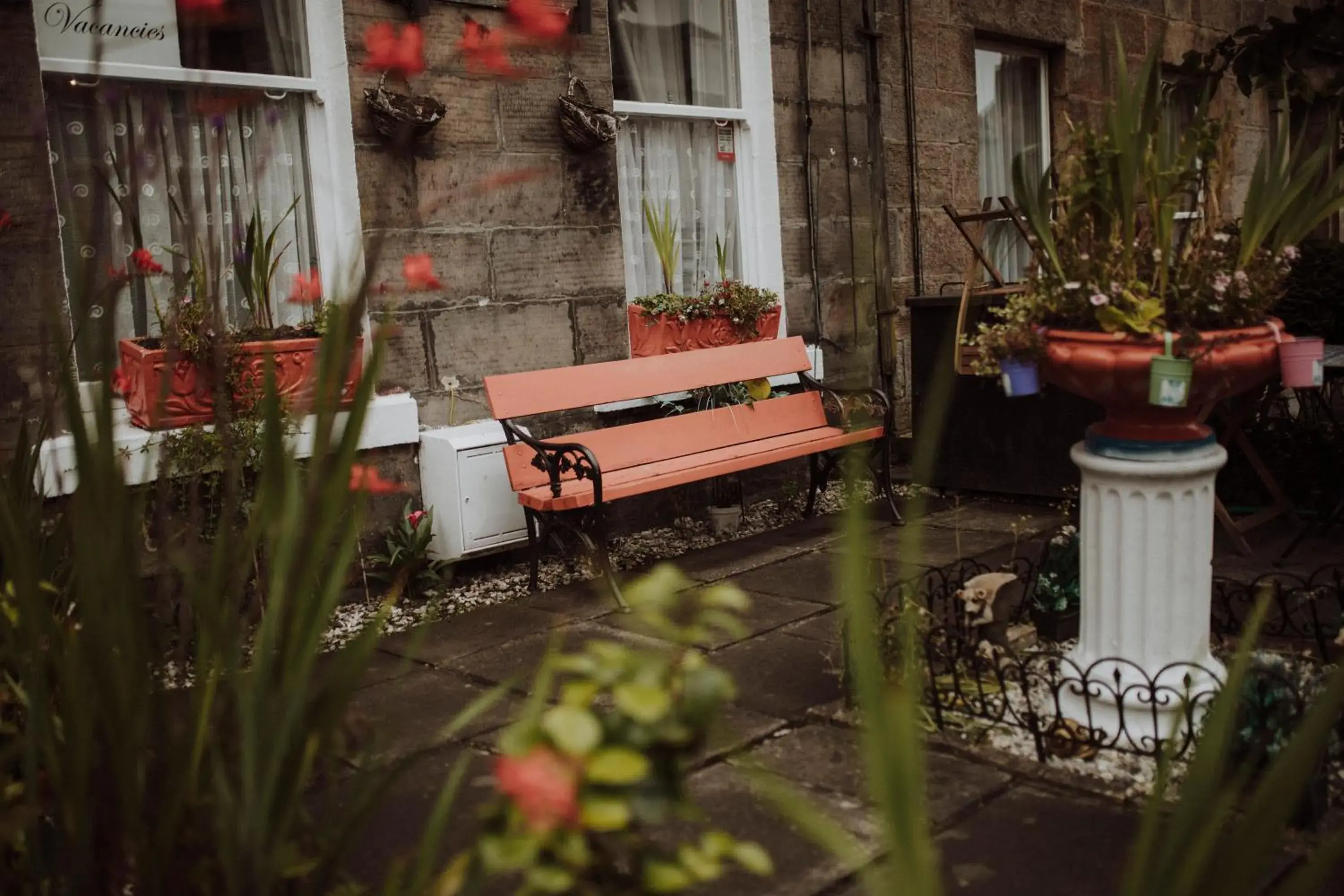 Garden view in 16 Pilrig Guest House Garden view in 16 Pilrig Guest House