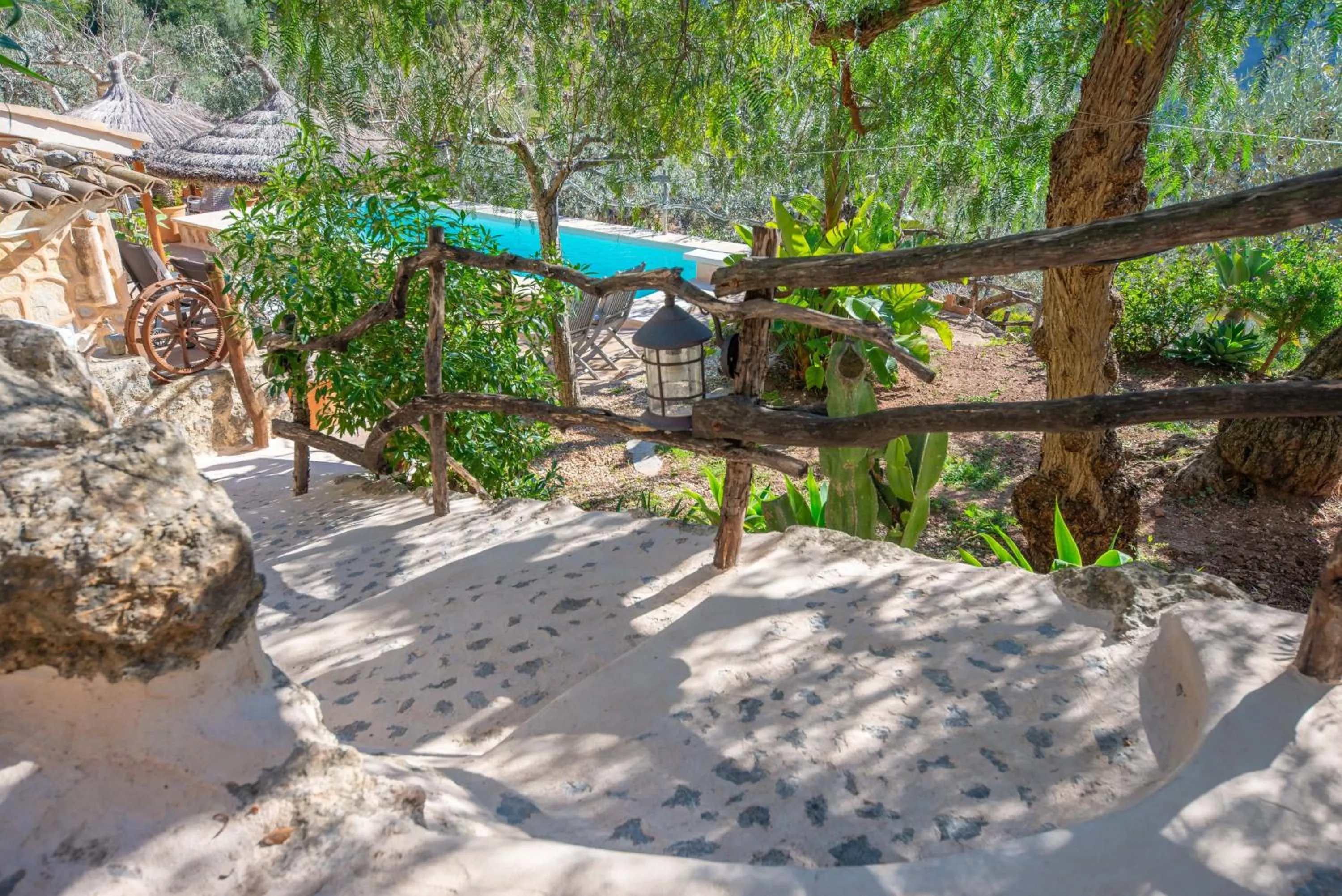 Garden in Ses Begudes