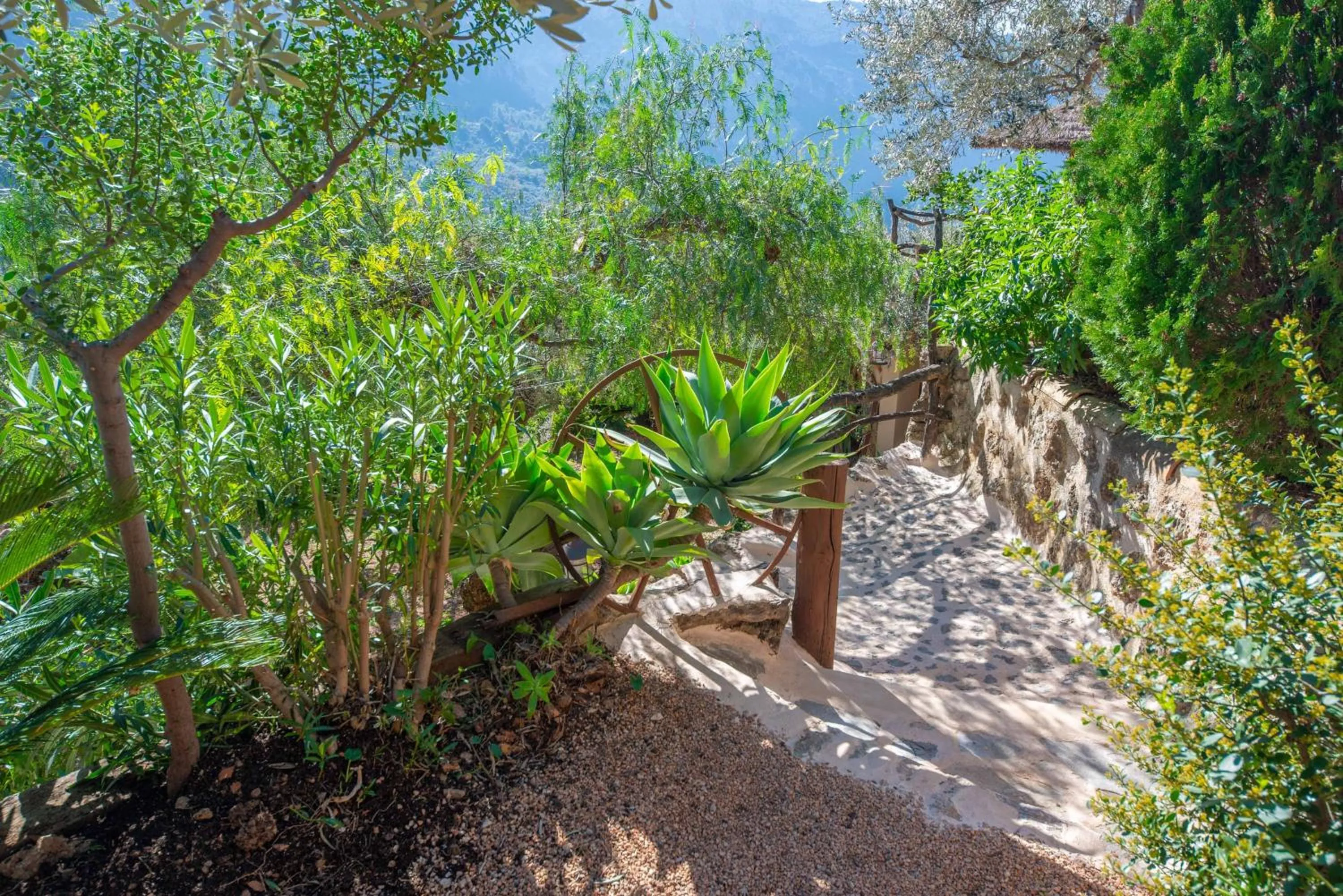 Garden in Ses Begudes