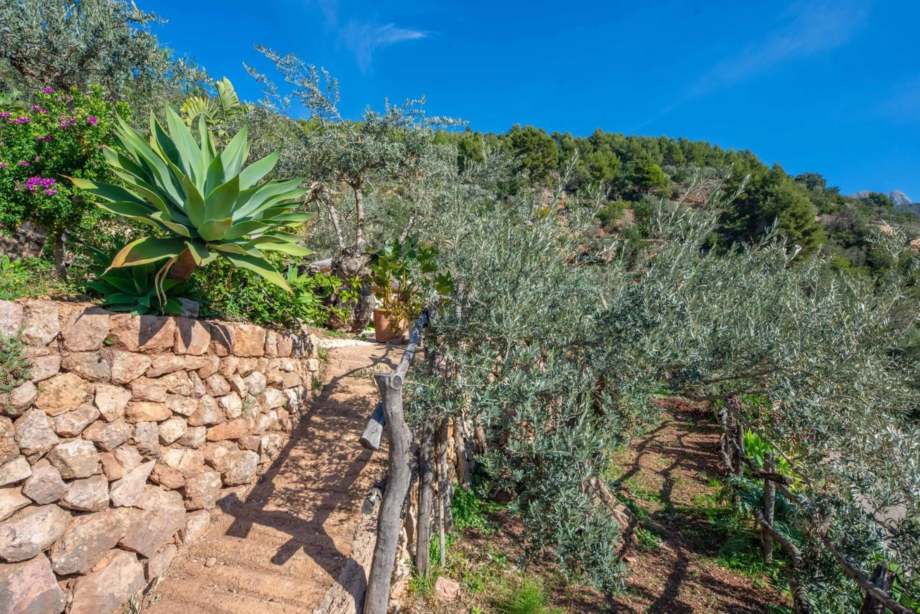 Garden in Ses Begudes