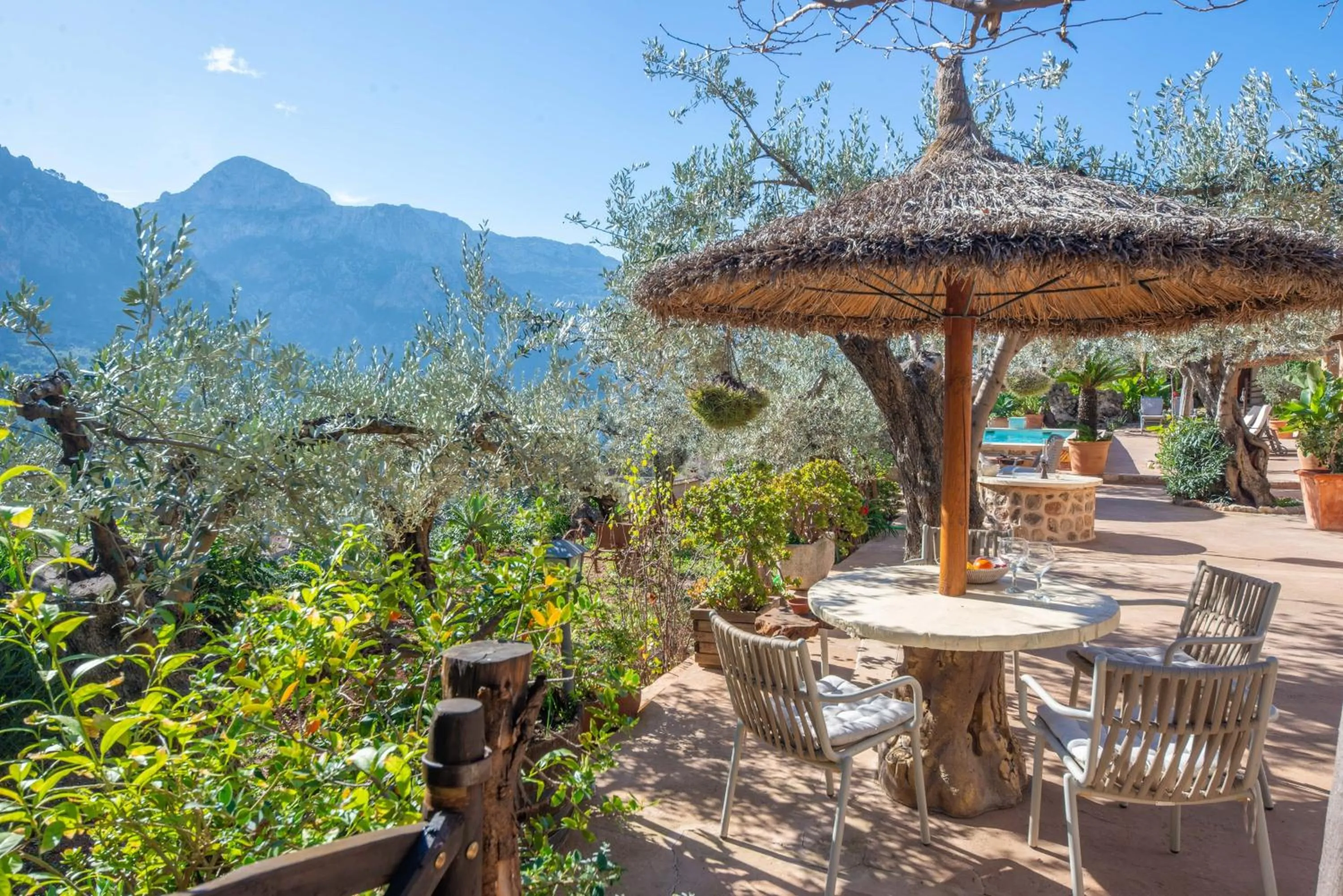 Garden in Ses Begudes