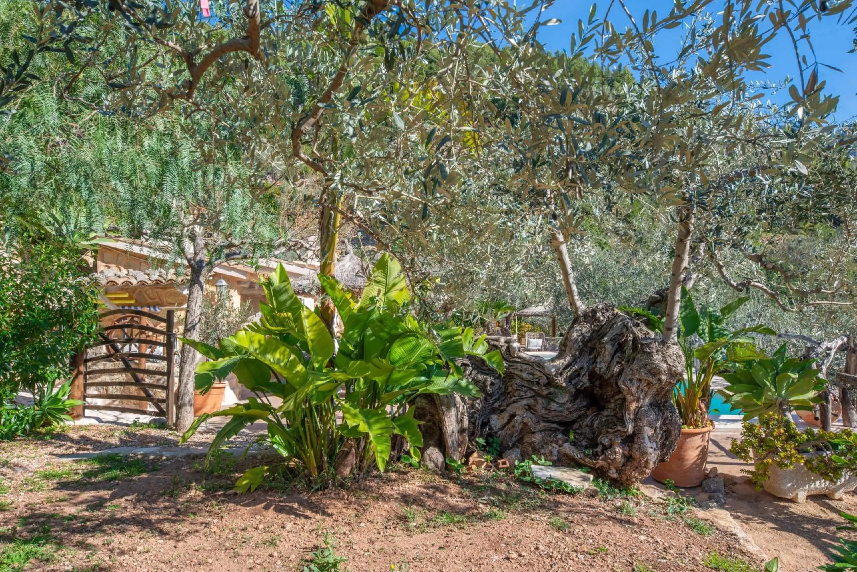 Garden view in Ses Begudes