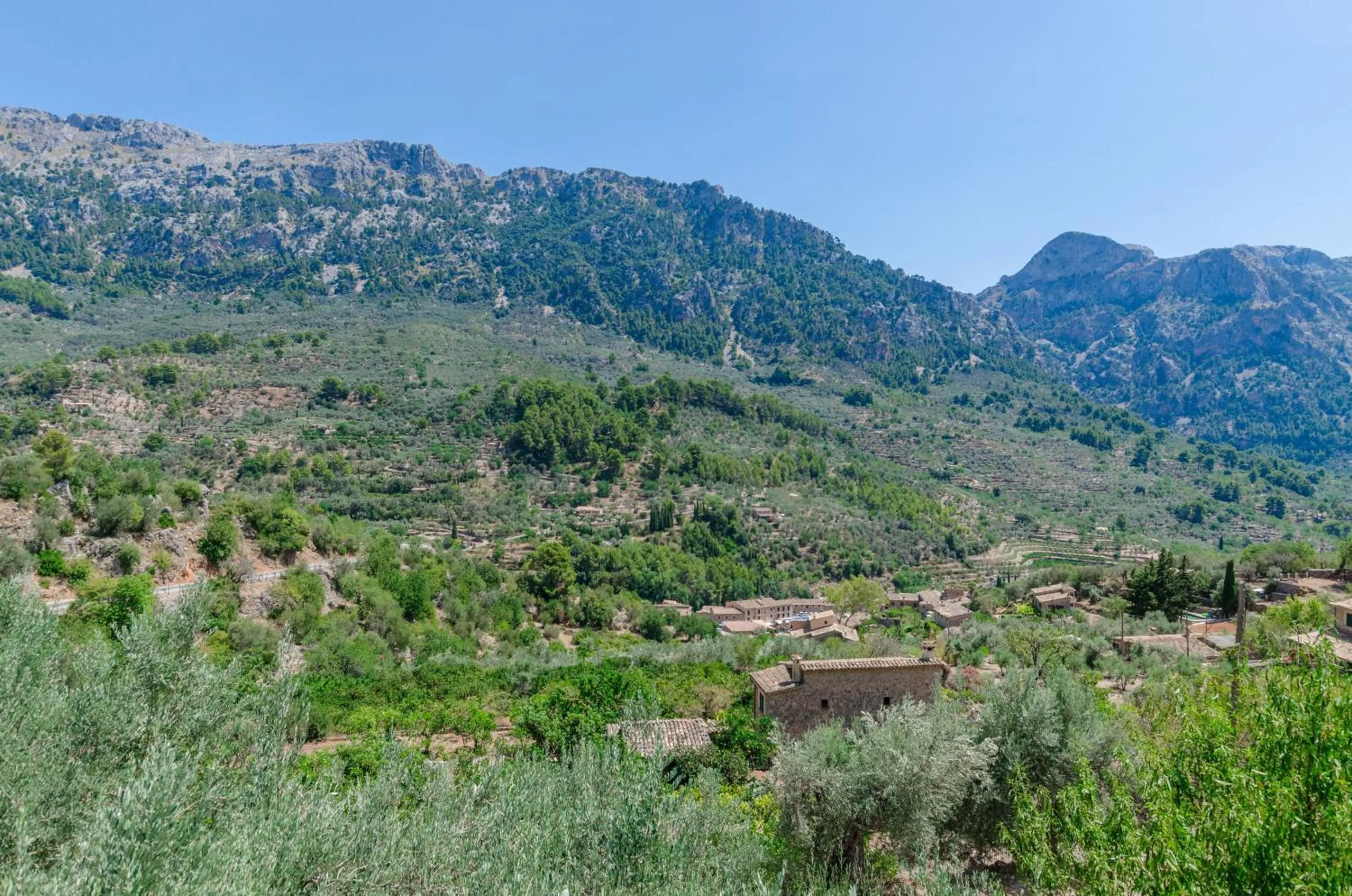 Natural landscape in Ses Begudes