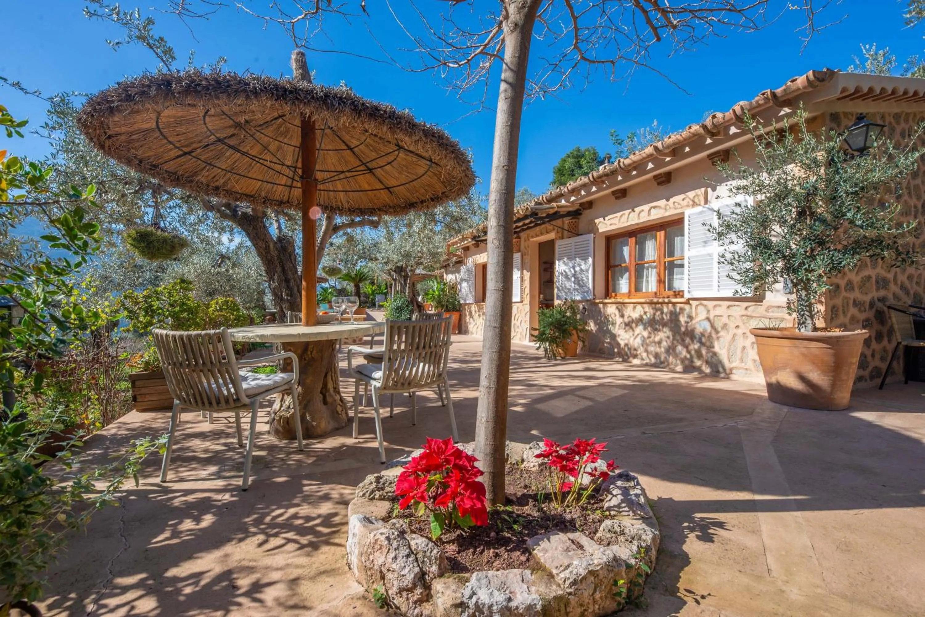 Garden in Ses Begudes