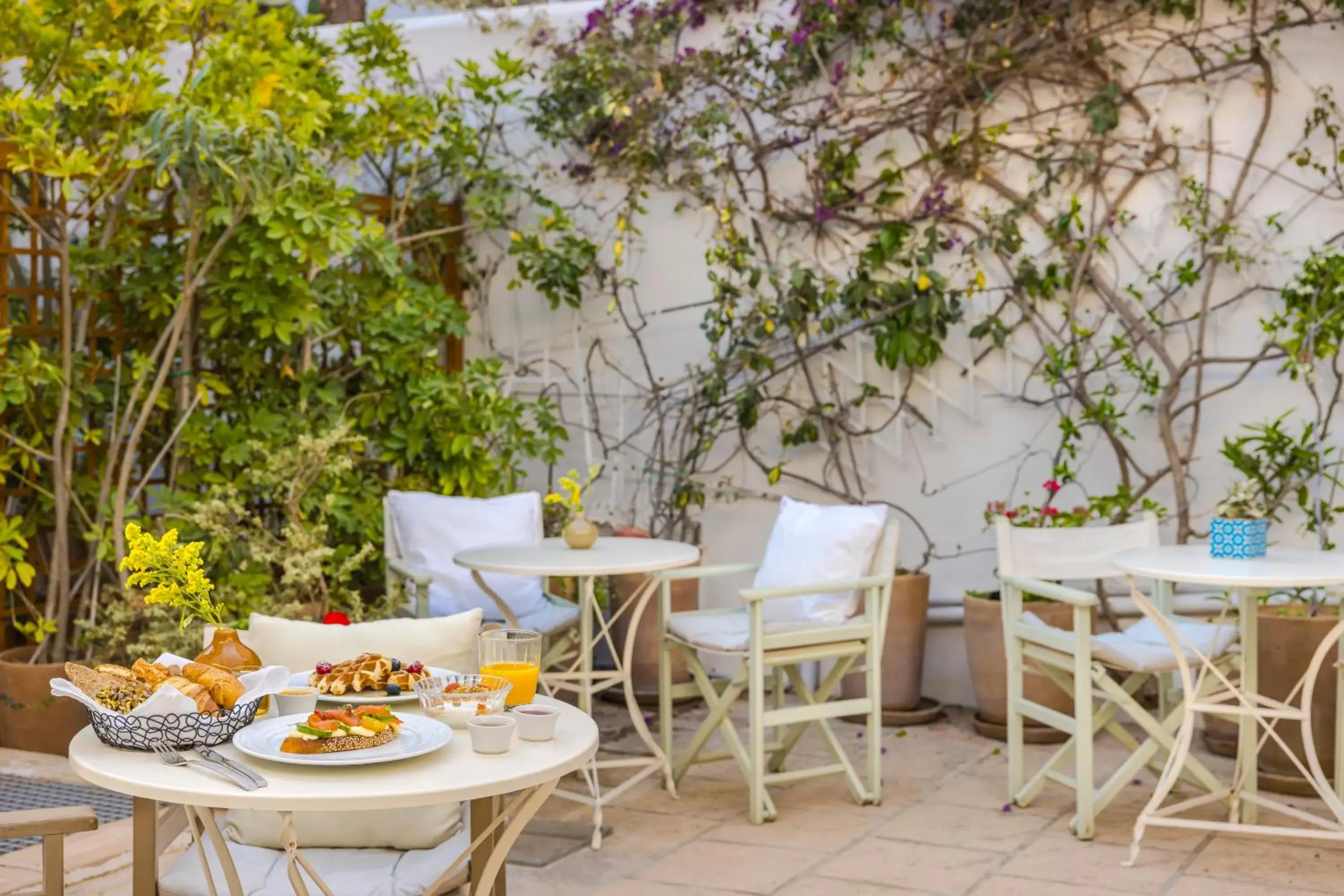 Breakfast in Hydra Hotel Breakfast in Hydra Hotel