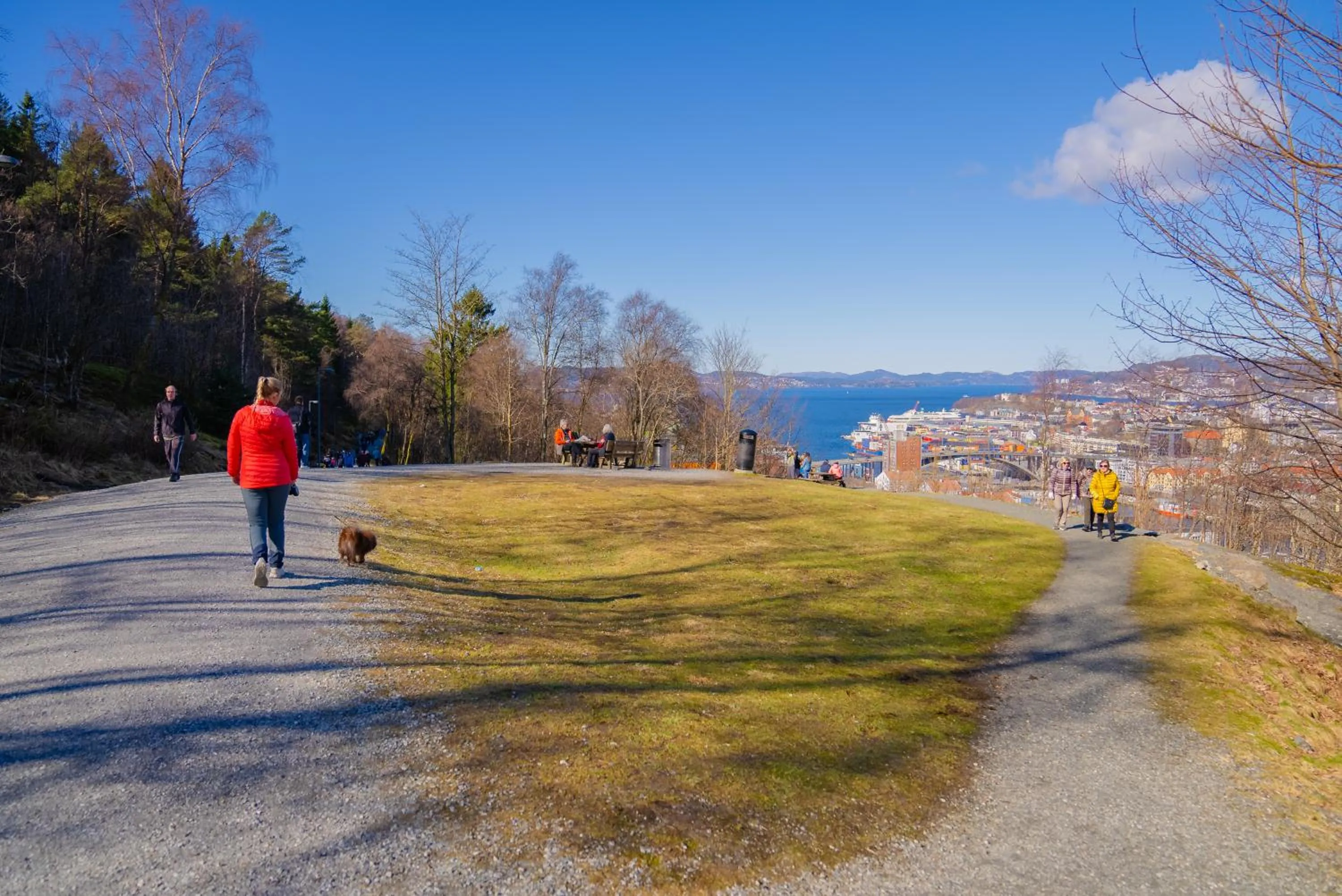 Neighbourhood in Prize by Radisson, Solheimsviken Bergen