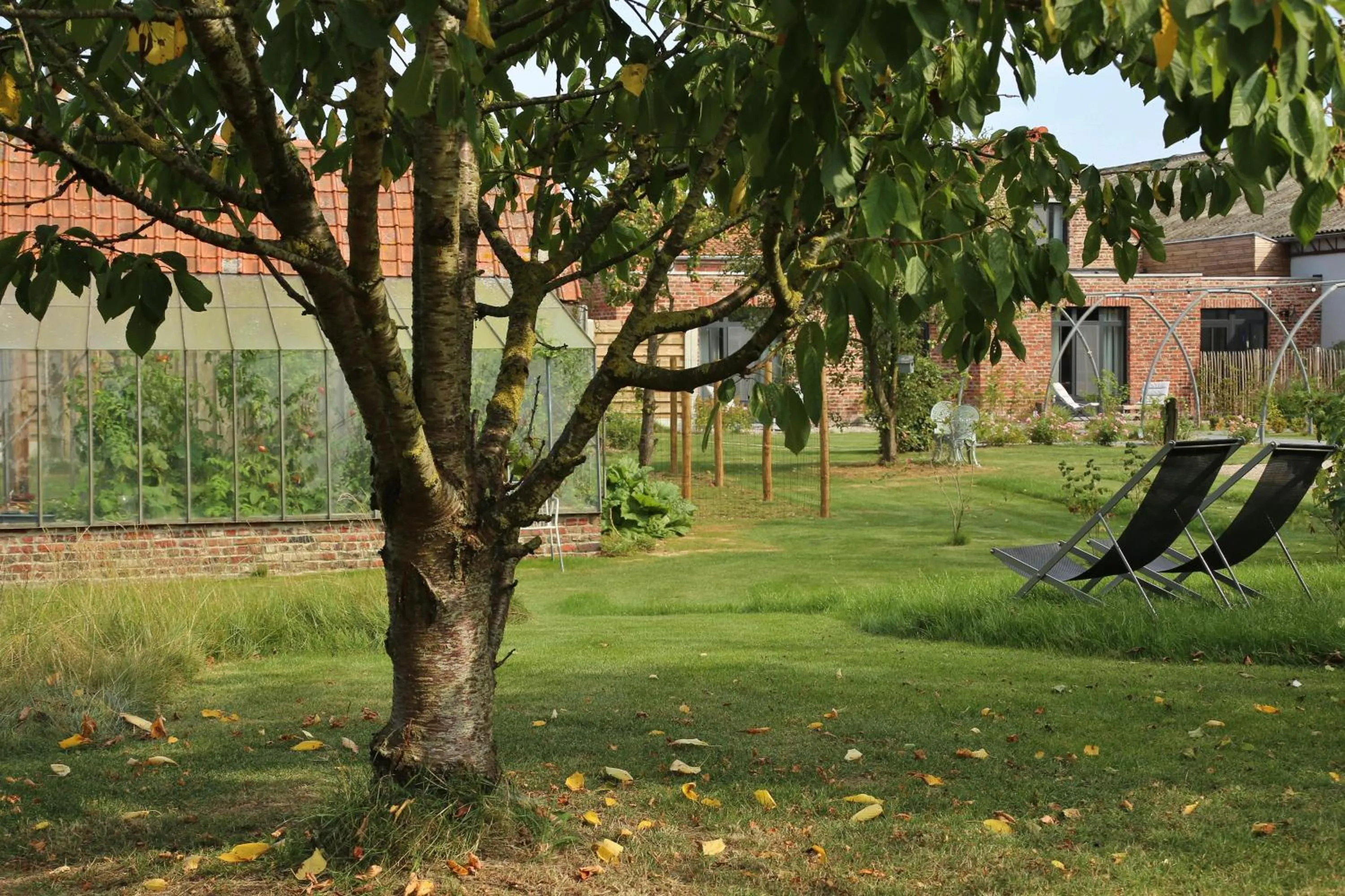 Garden in Chambres D´Hôtes Herbes Folles