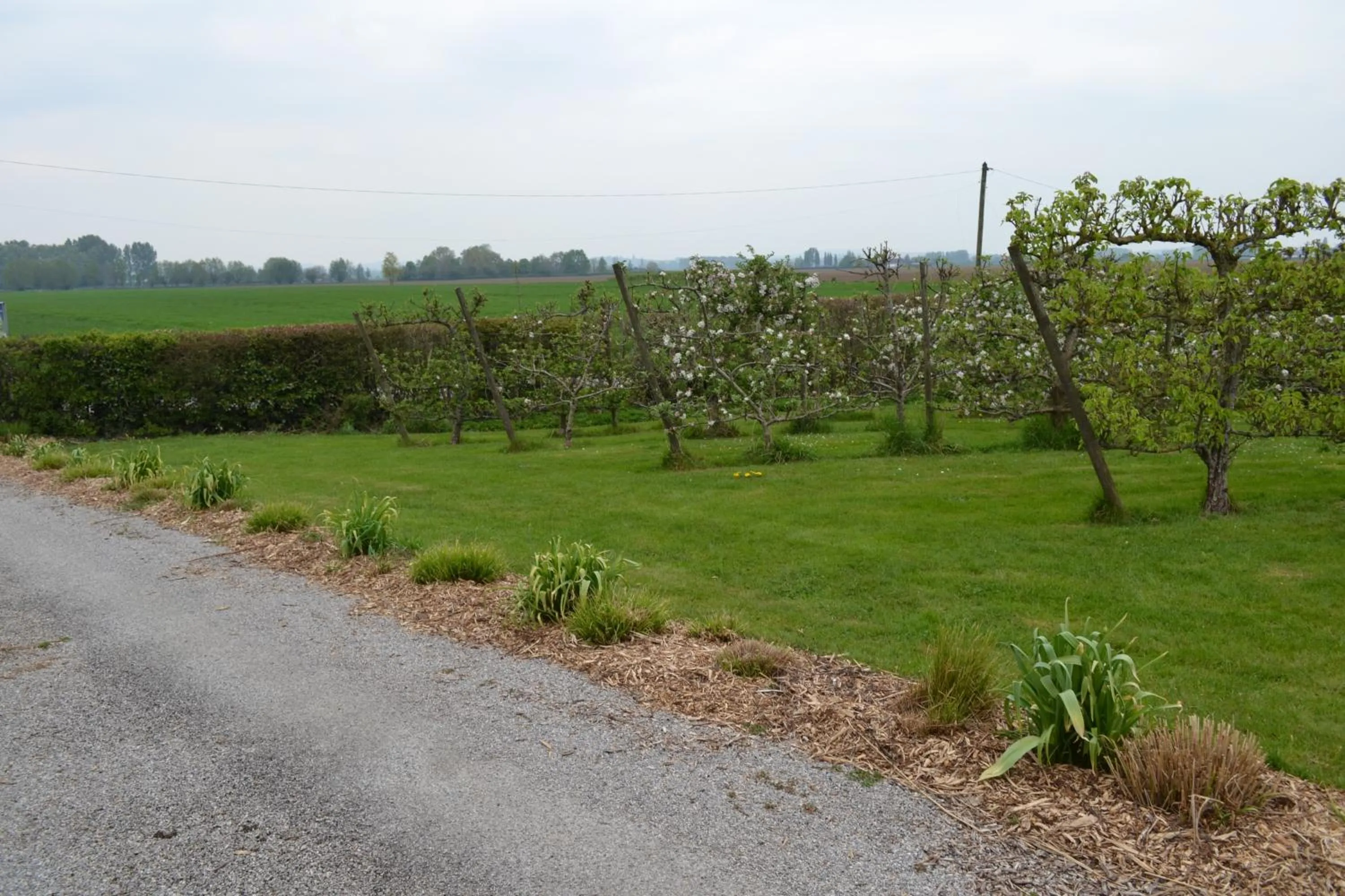 Garden in Chambres D´Hôtes Herbes Folles