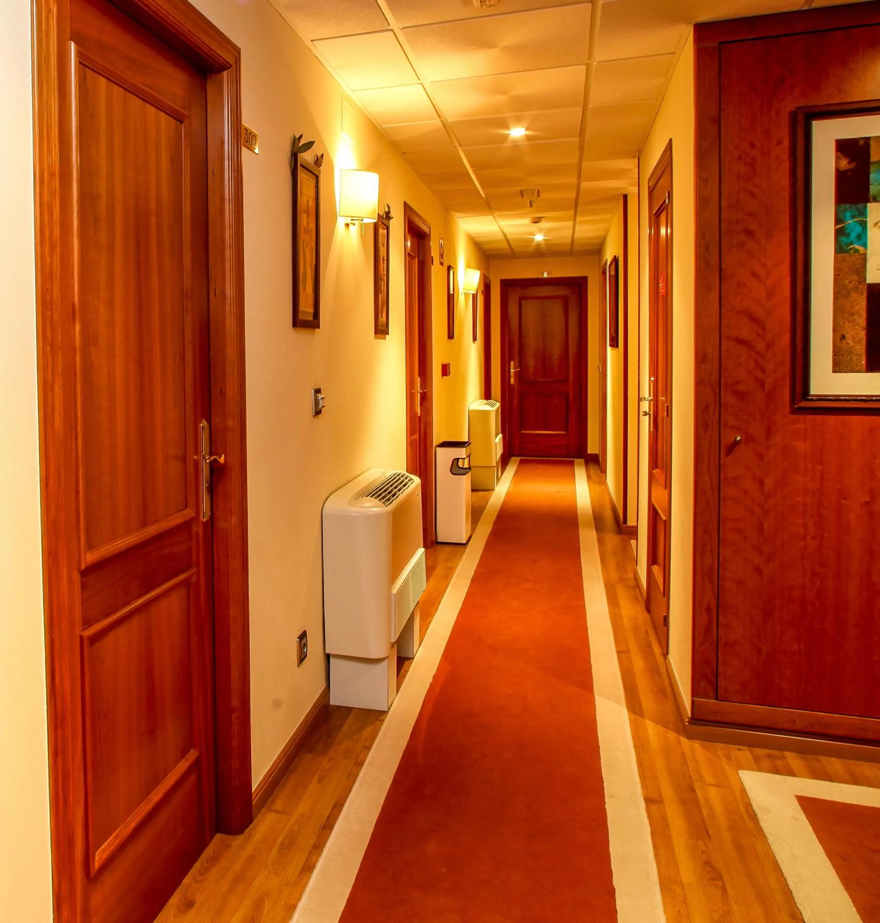 Area and facilities in Hotel Condes De Lemos España