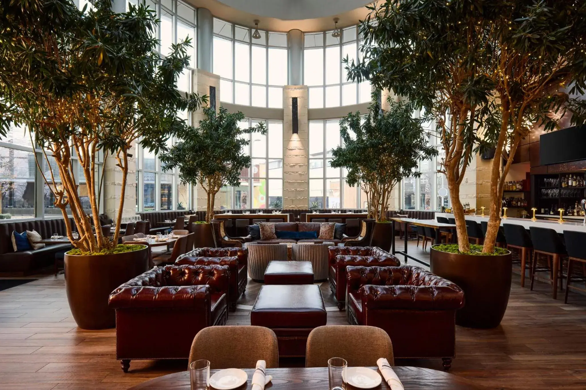 Restaurant/places to eat in Archer Hotel Austin Restaurant/places to eat in Archer Hotel Austin