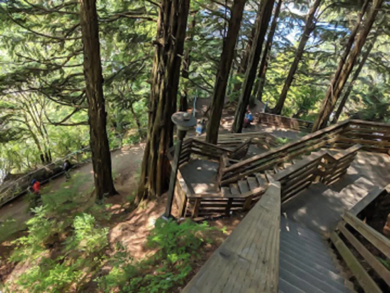 Neighbourhood in Cape Fox Lodge