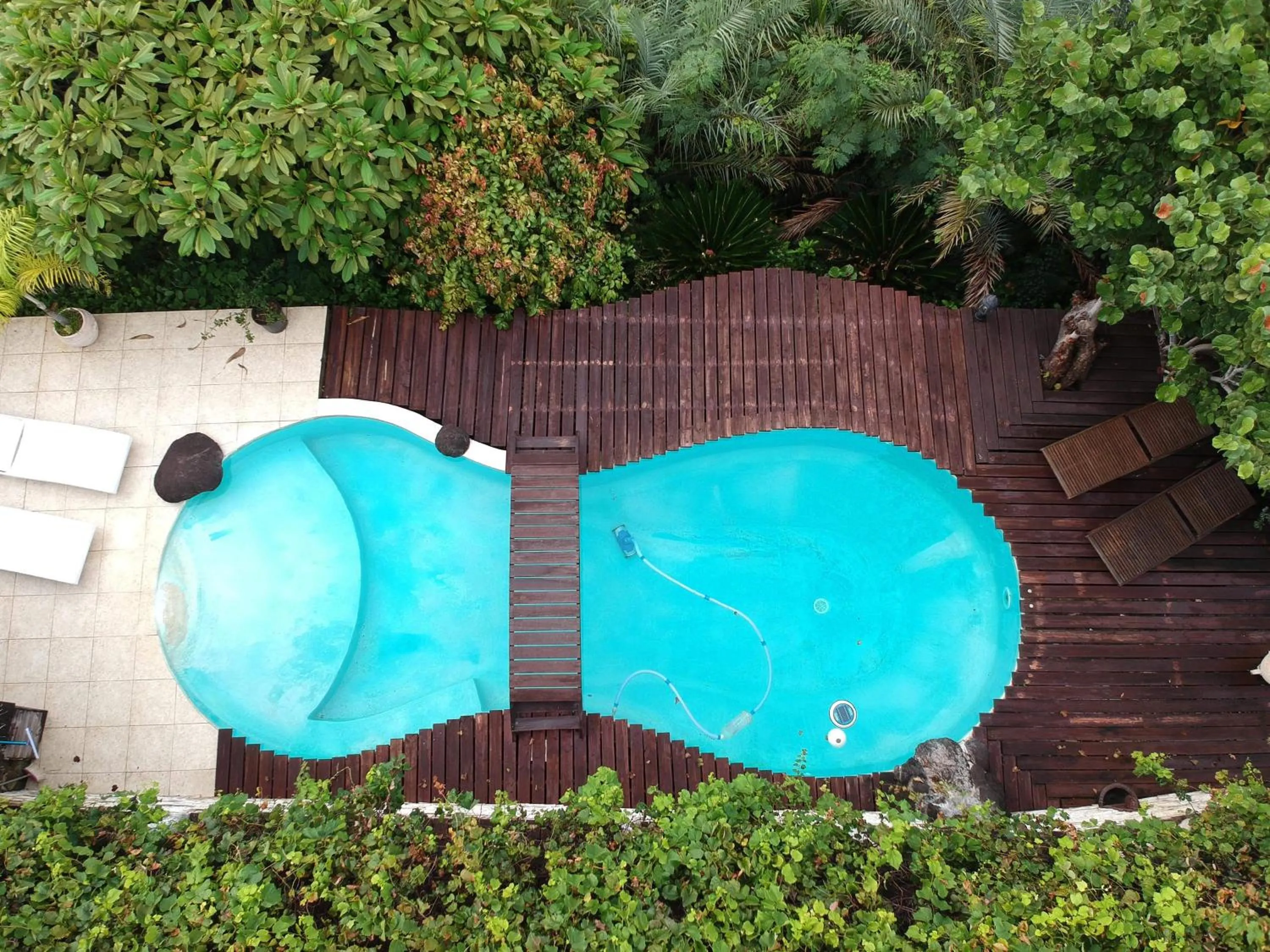 Swimming pool in Chalet De Tahiti