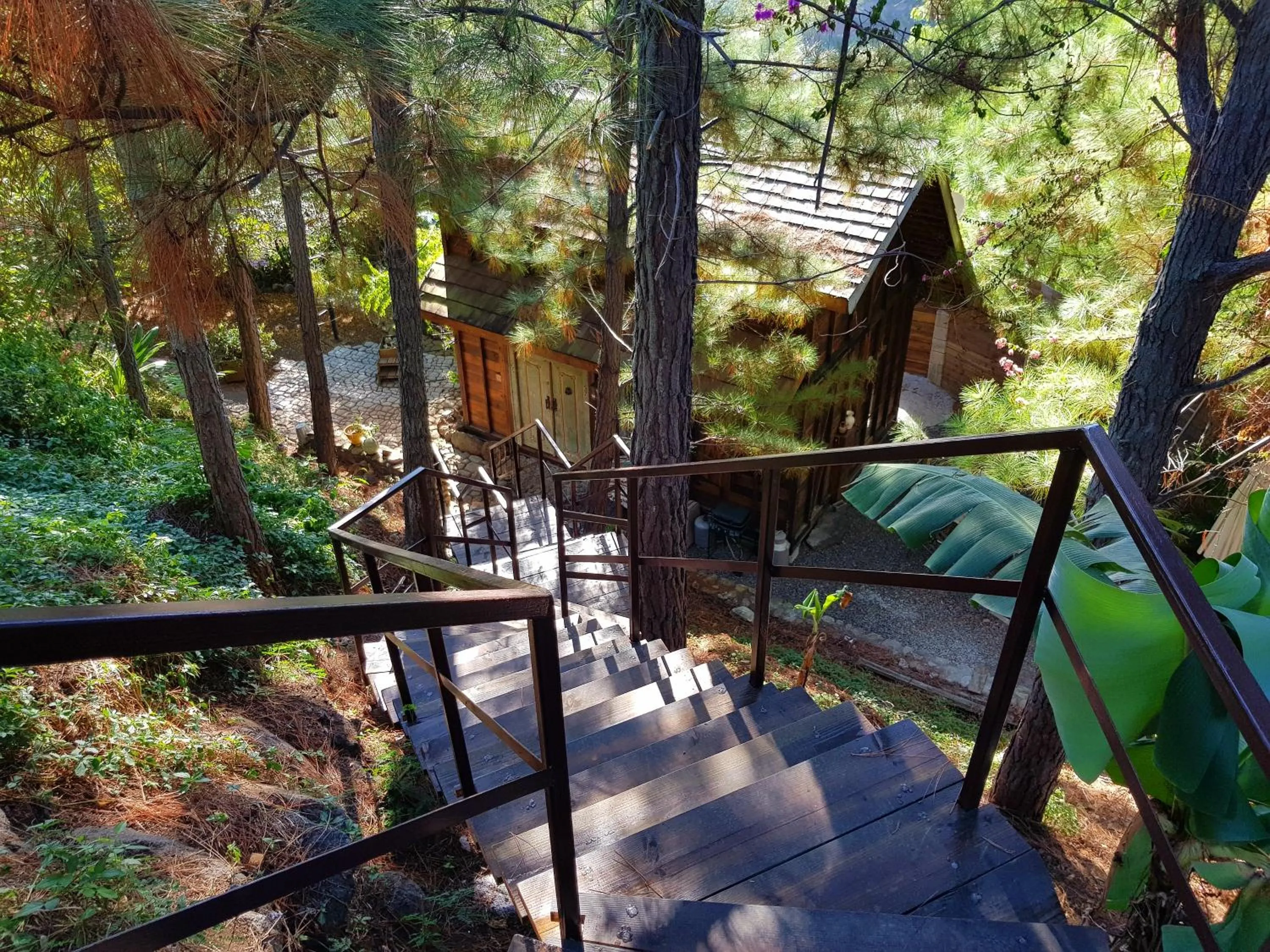 Garden view in Chalet De Tahiti