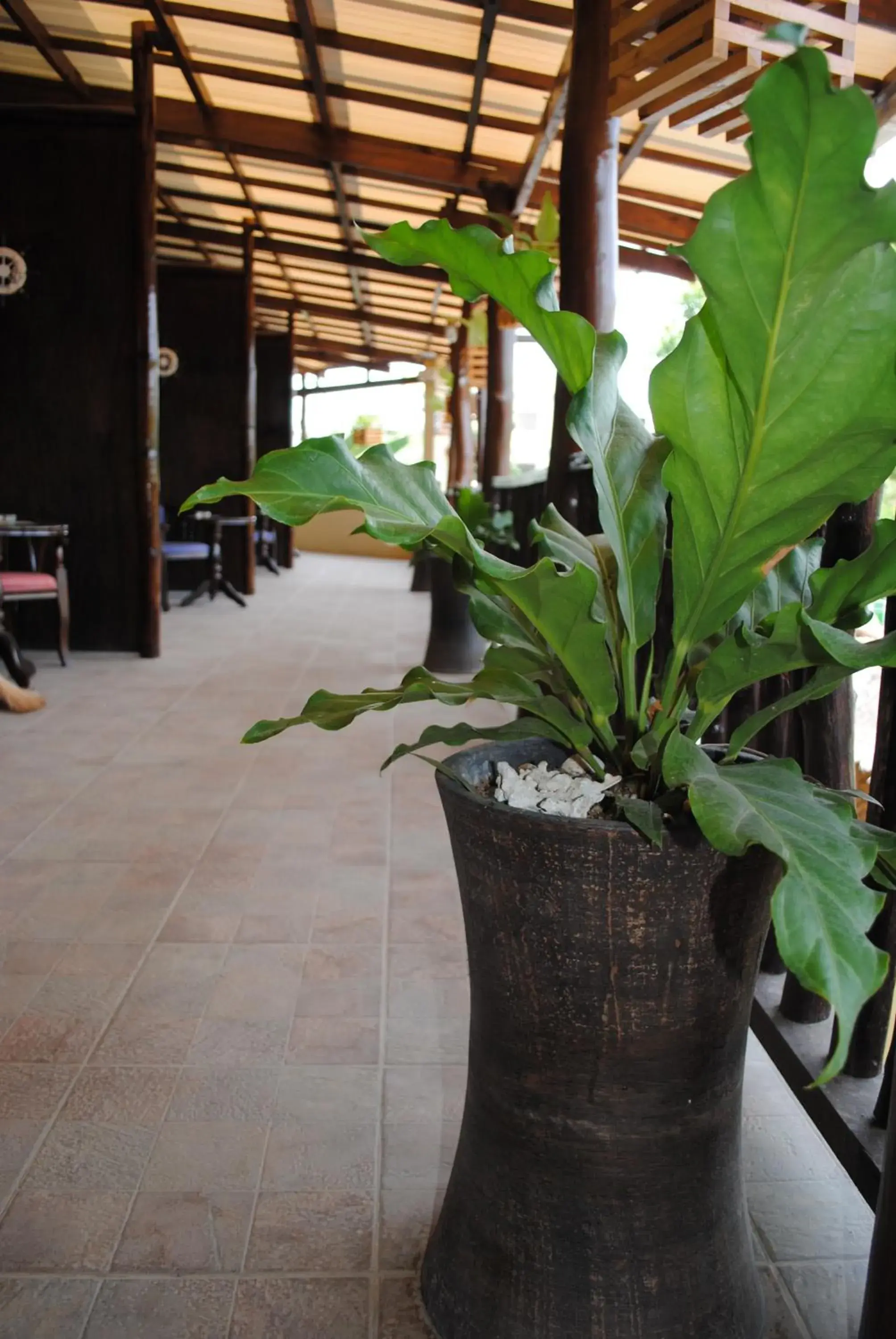 View (from property/room), Patio/Outdoor Area in Captains Lodge and Bar